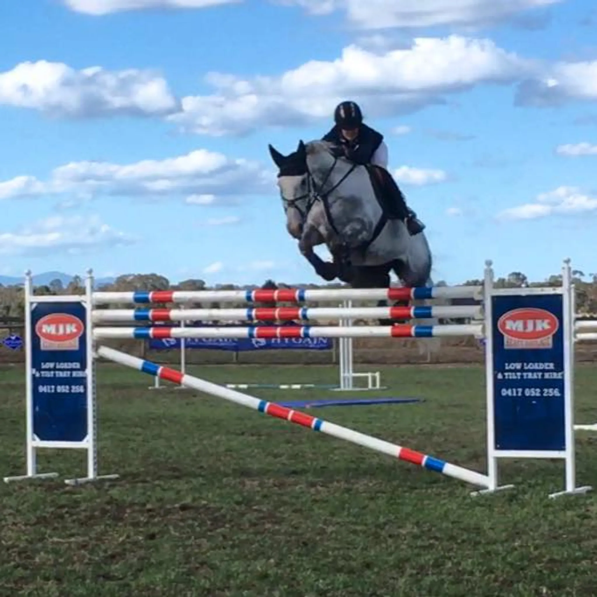 Sophia Hill Equestrian