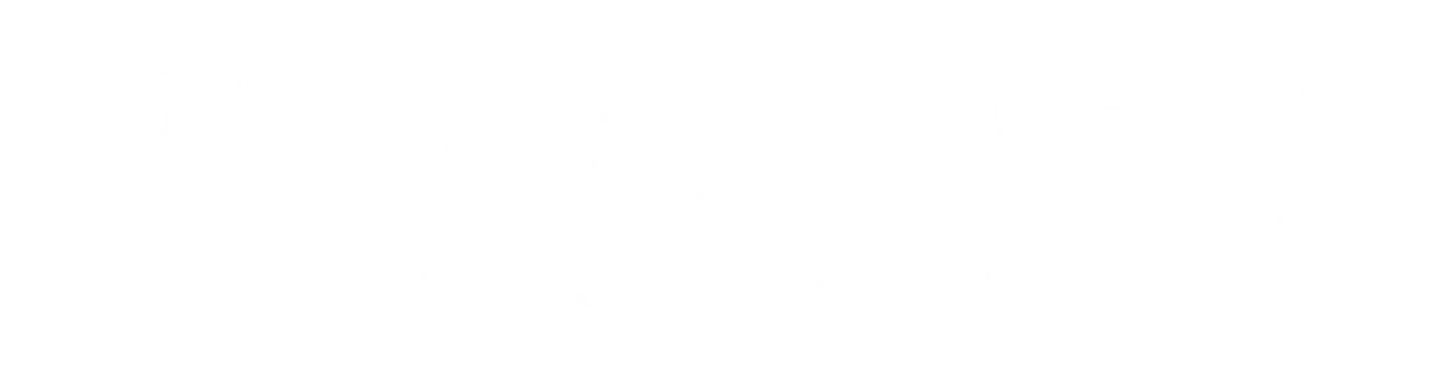 Pioneer Performance