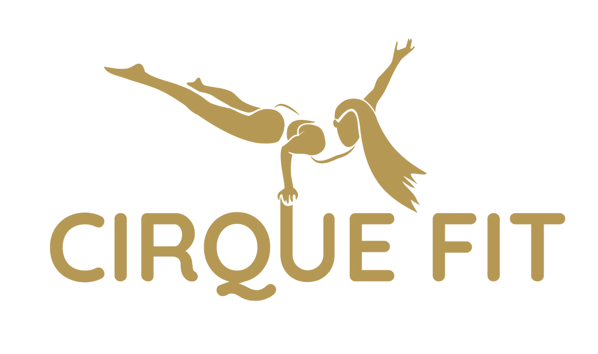 Cirque Fit