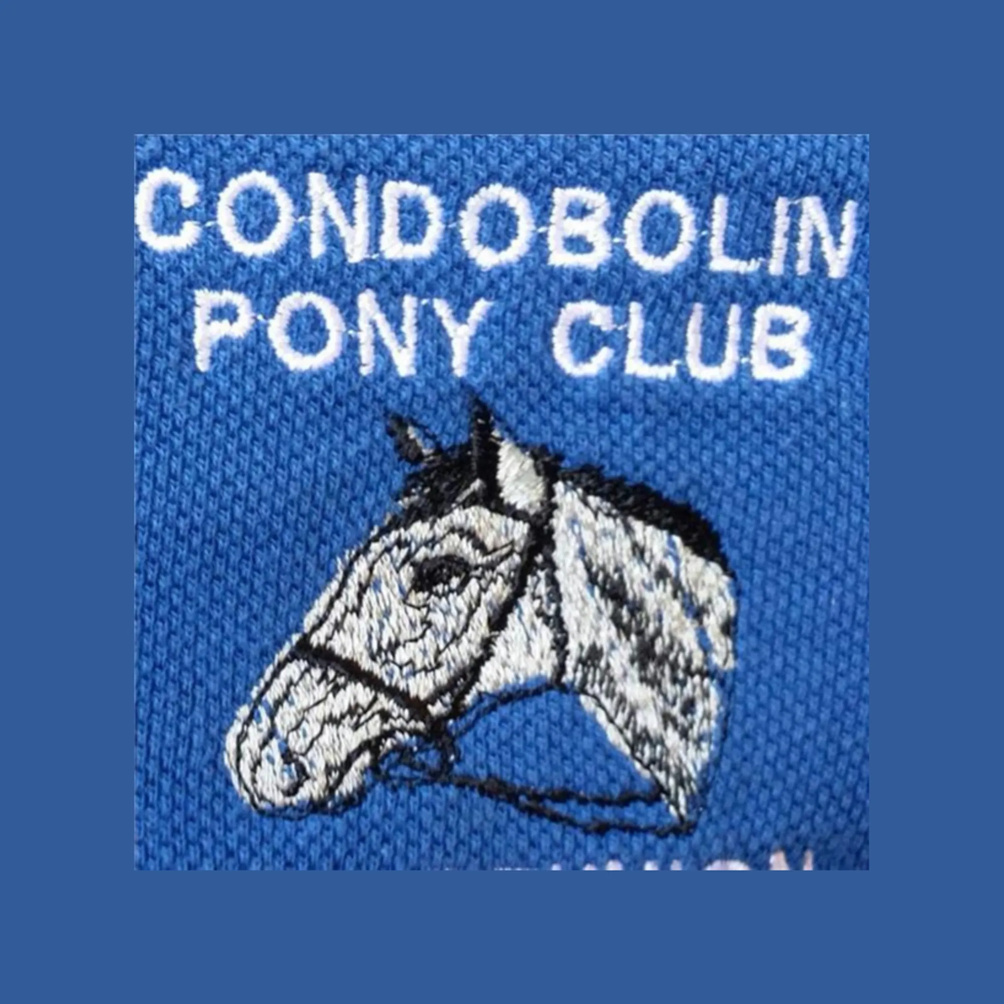 Condobolin Pony Club