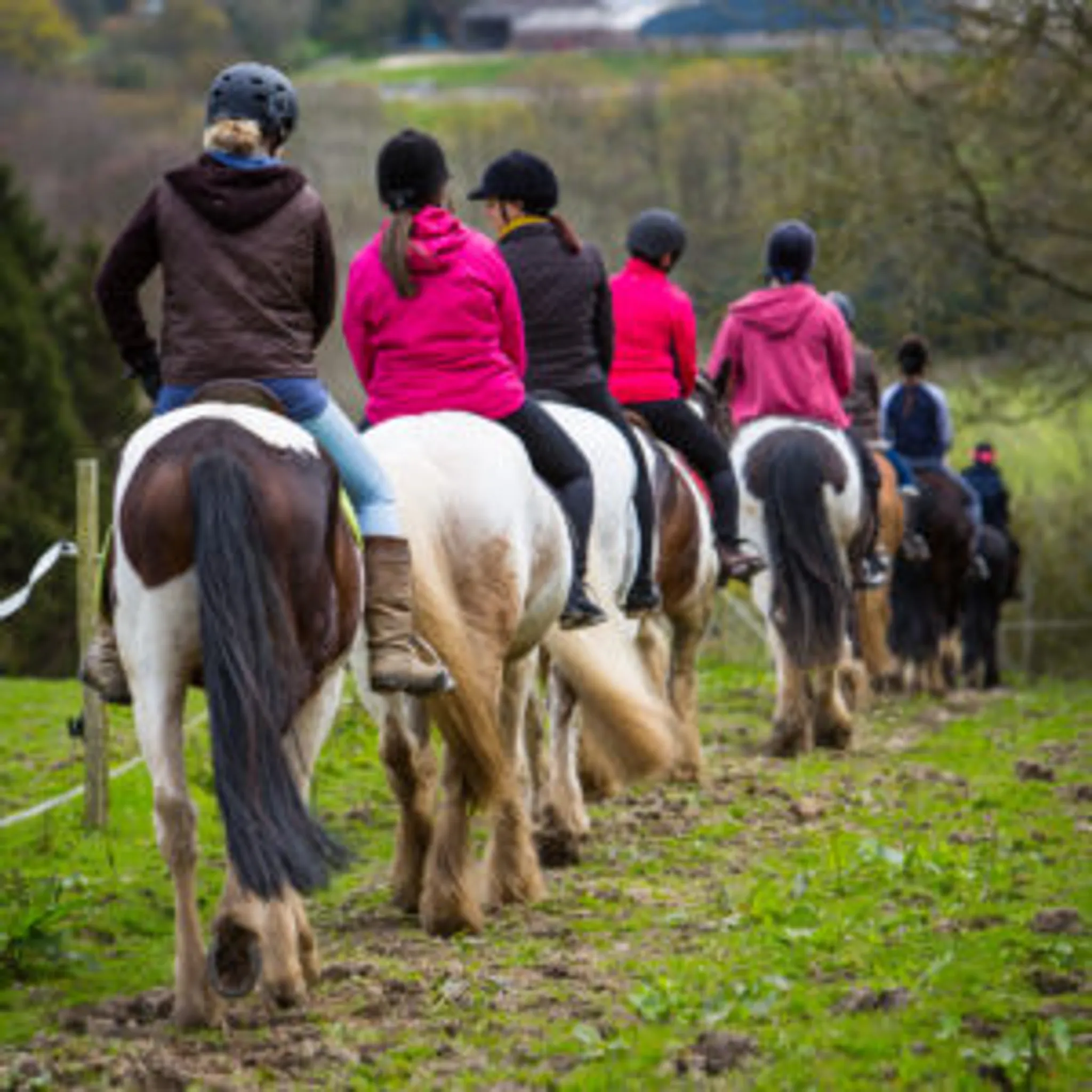 East View Riding Centre
