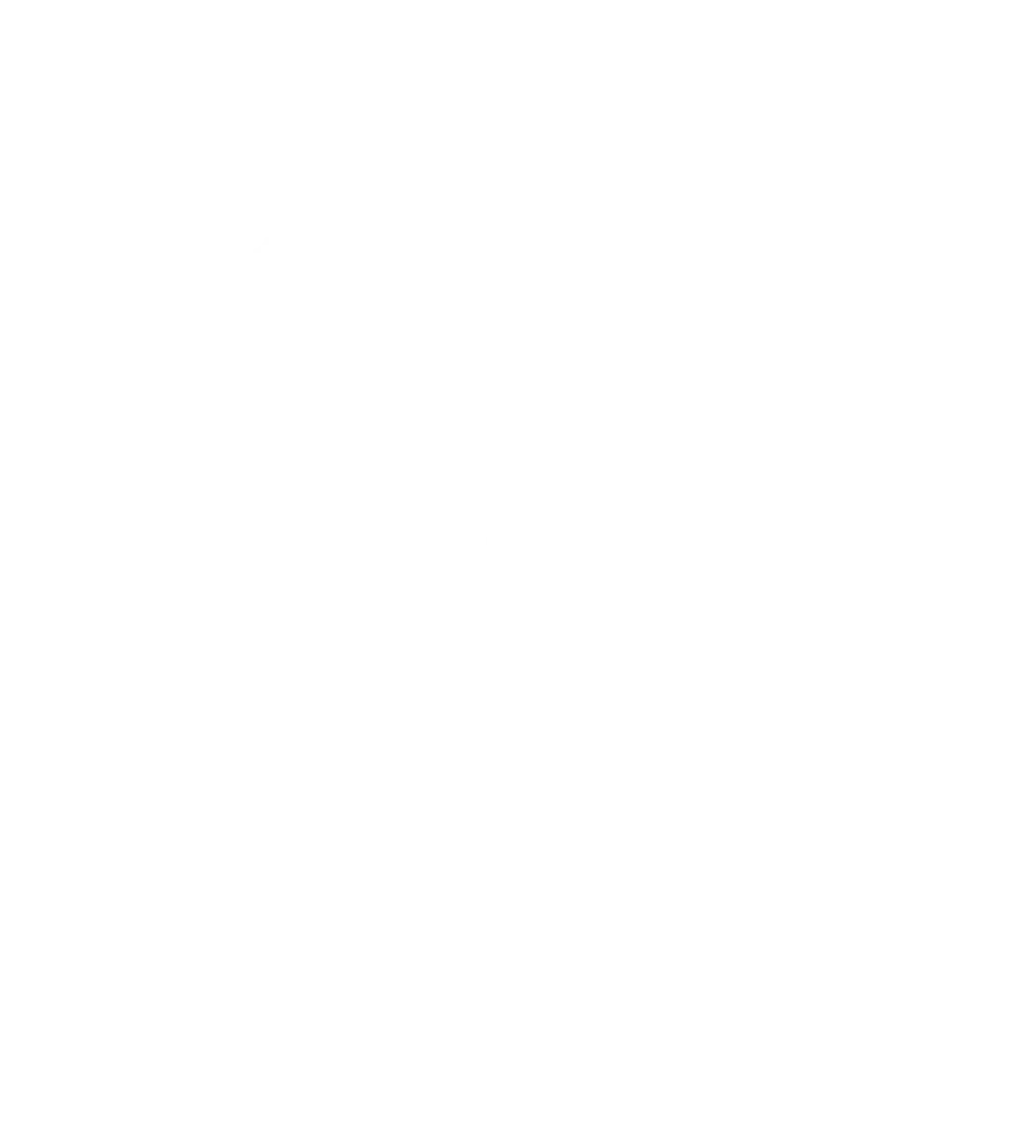 Hammerhead Fishing Charters