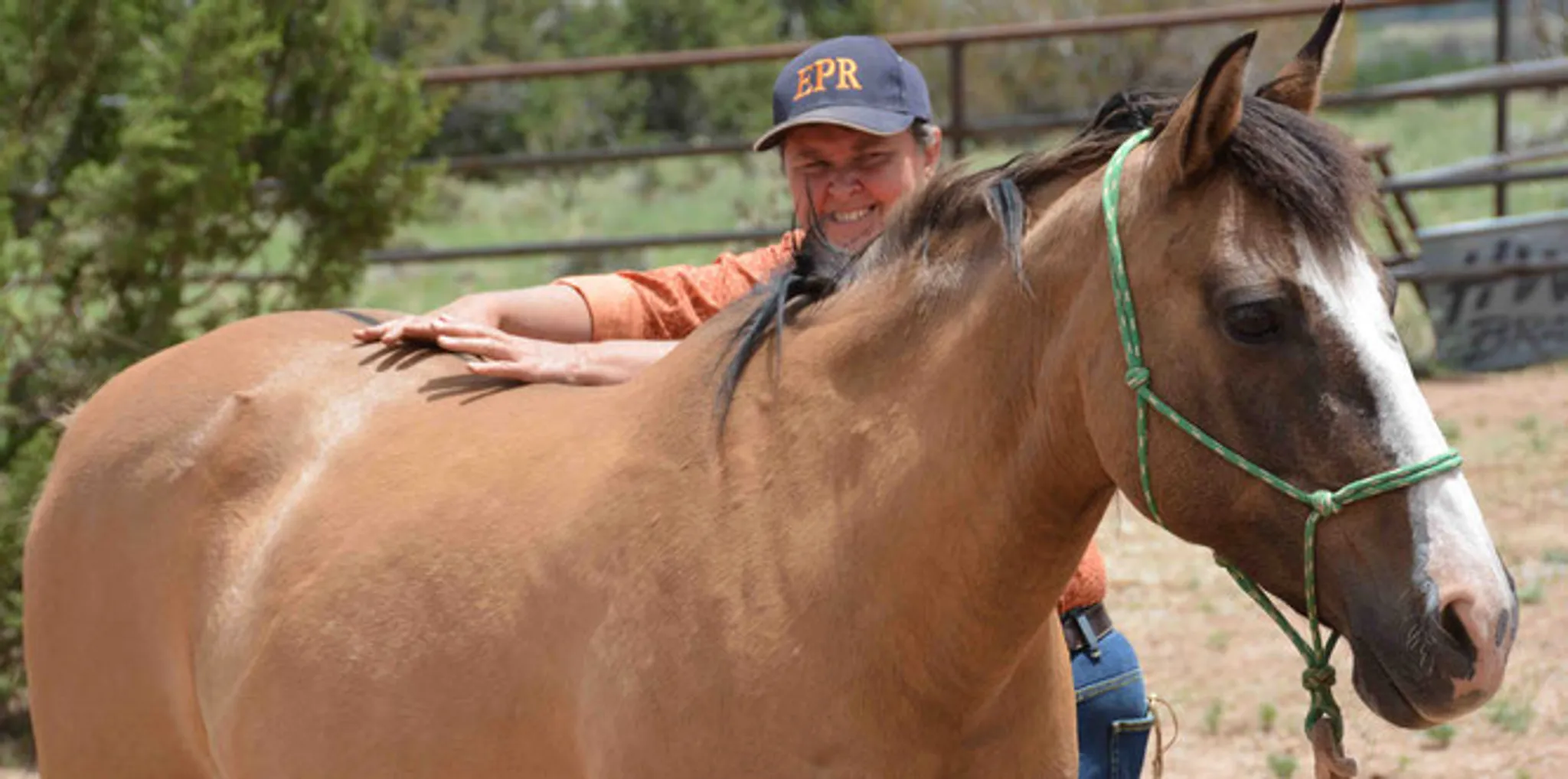 Equine Positional Release