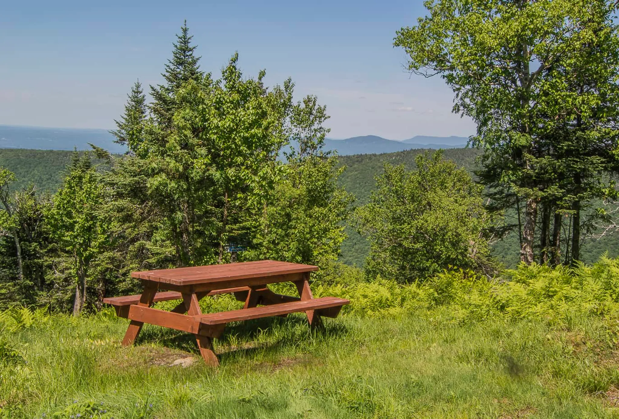 Mountain Bike Trails at Plein air Sutton / MTB