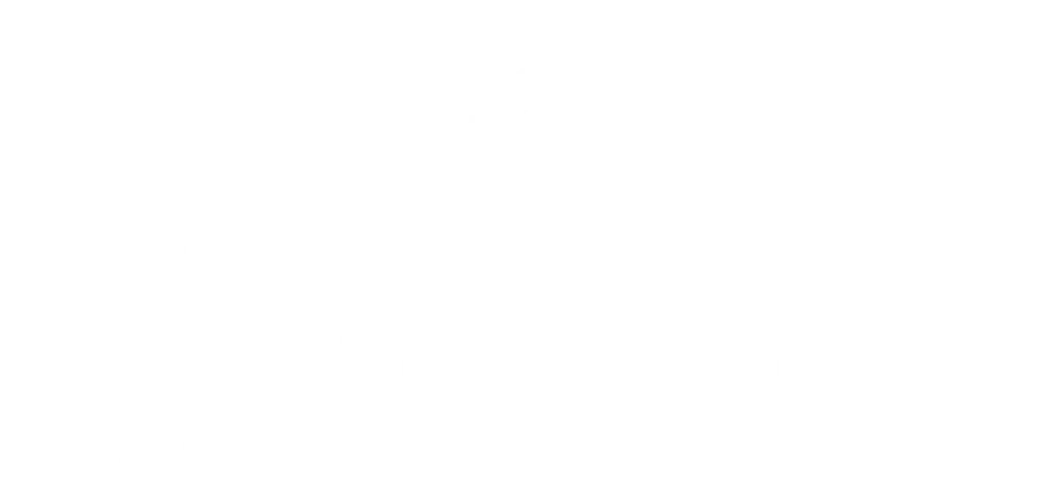 Point the Way Ballet School