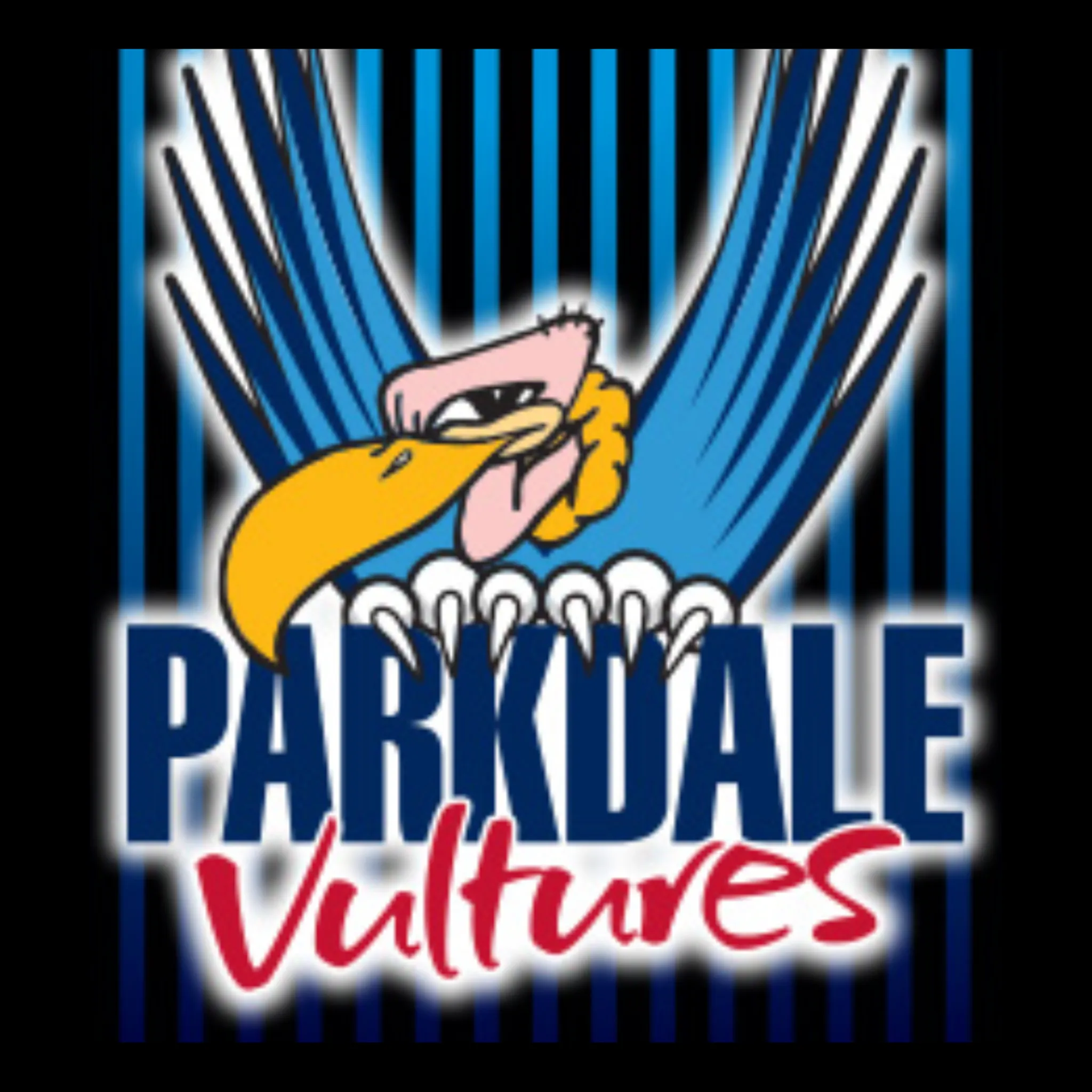 Parkdale Vultures