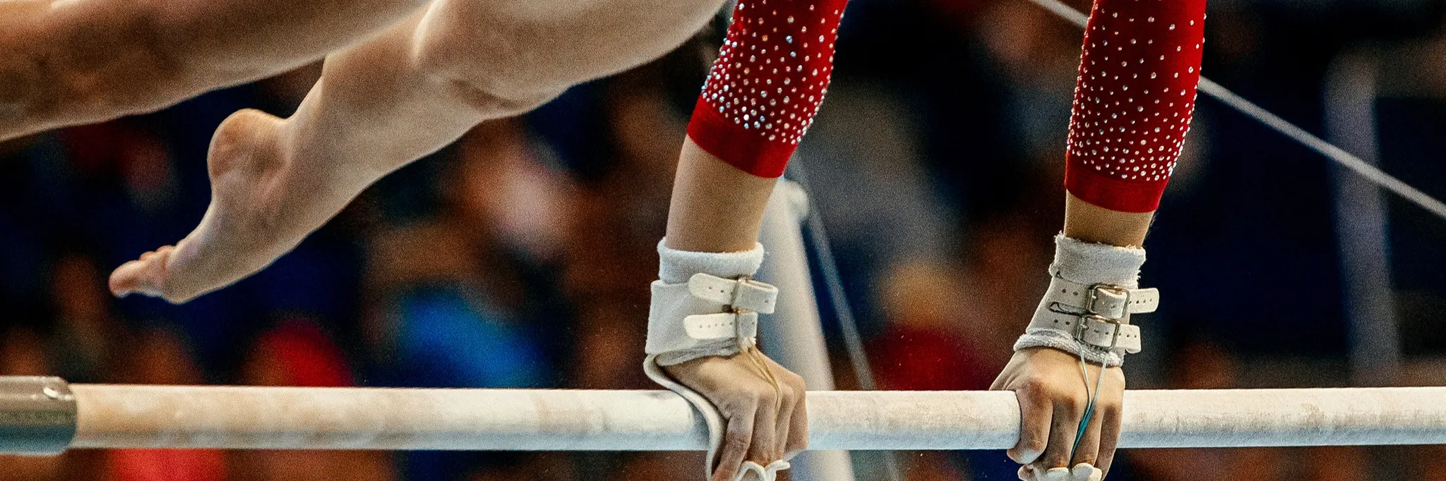 Adult Gymnastics Classes