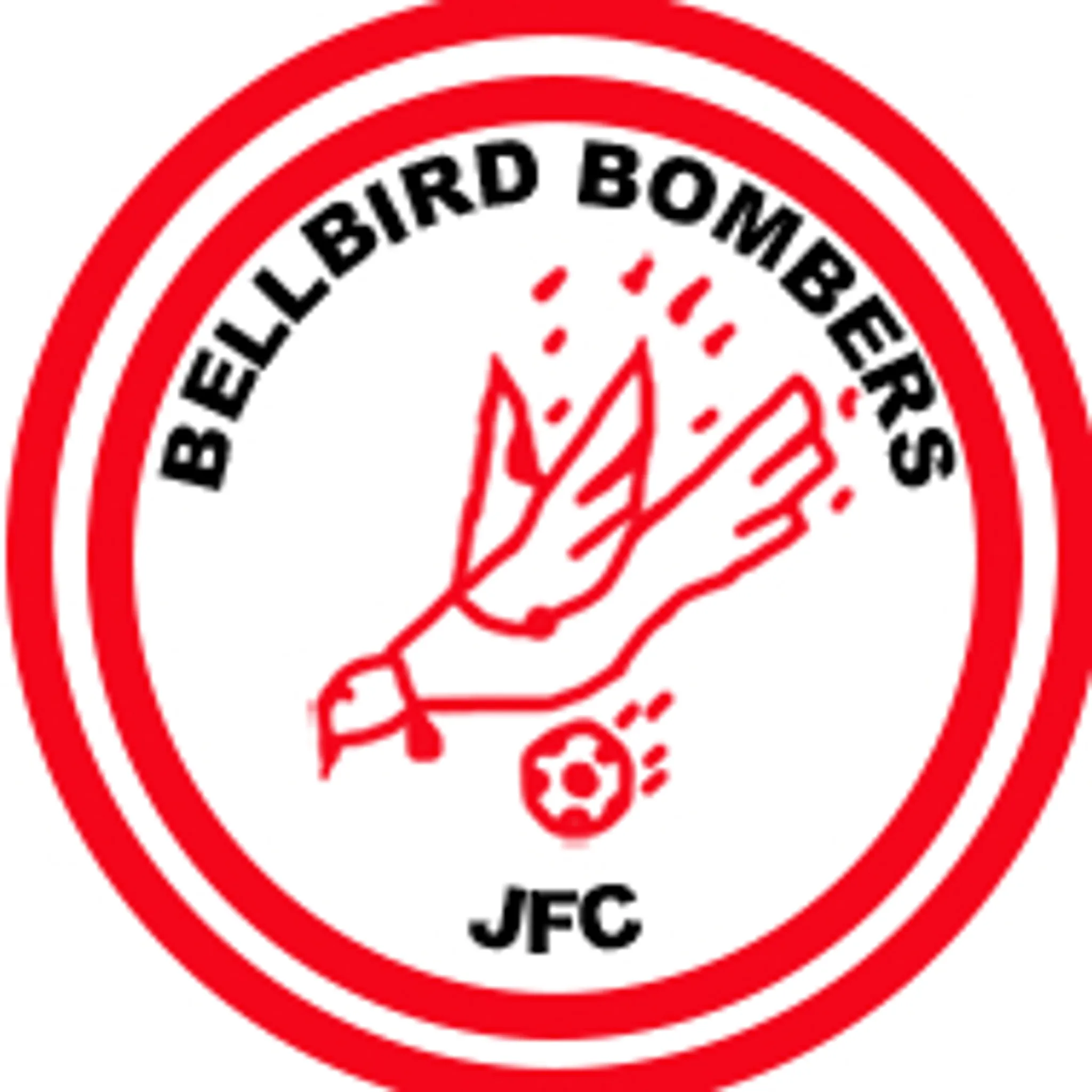 Bellbird Junior Football Club