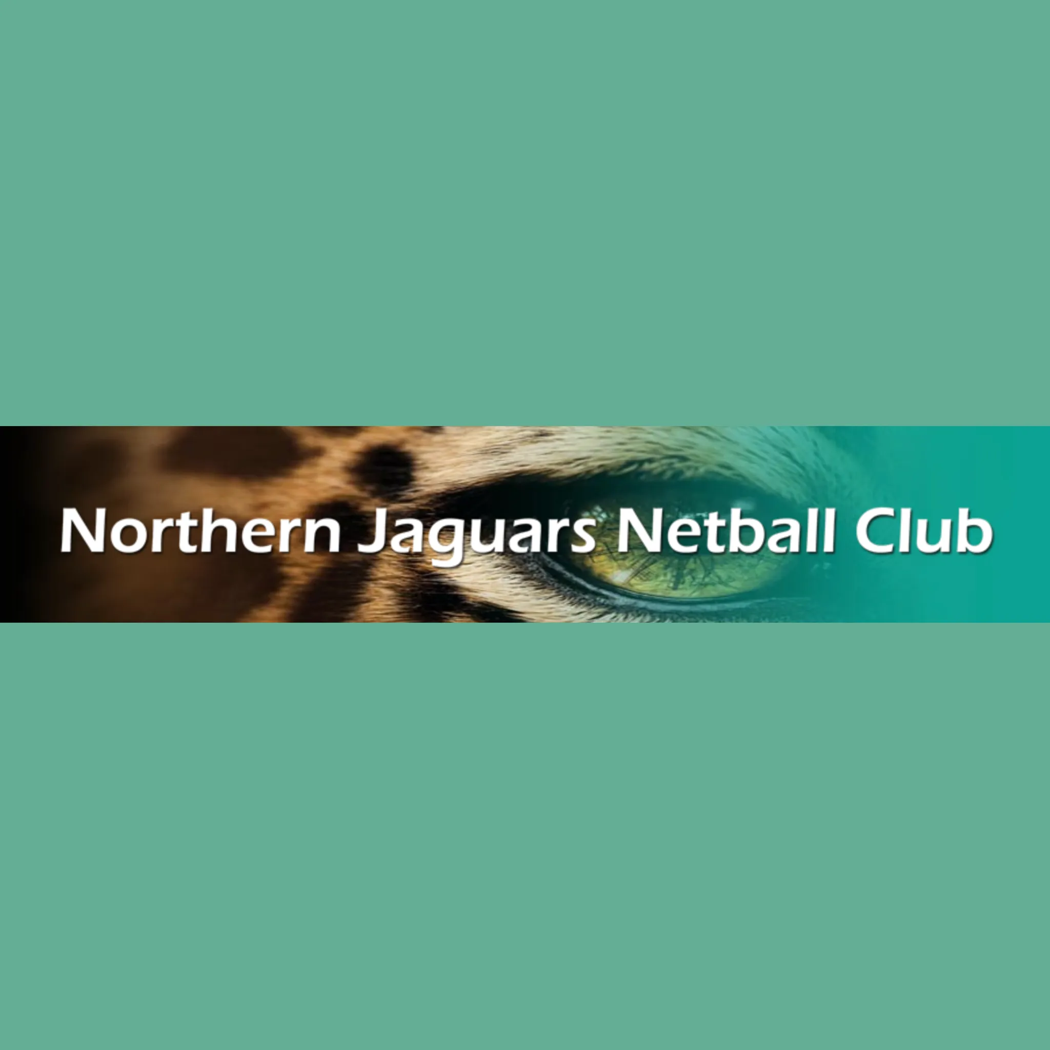 Northern Jaguars Netball Club