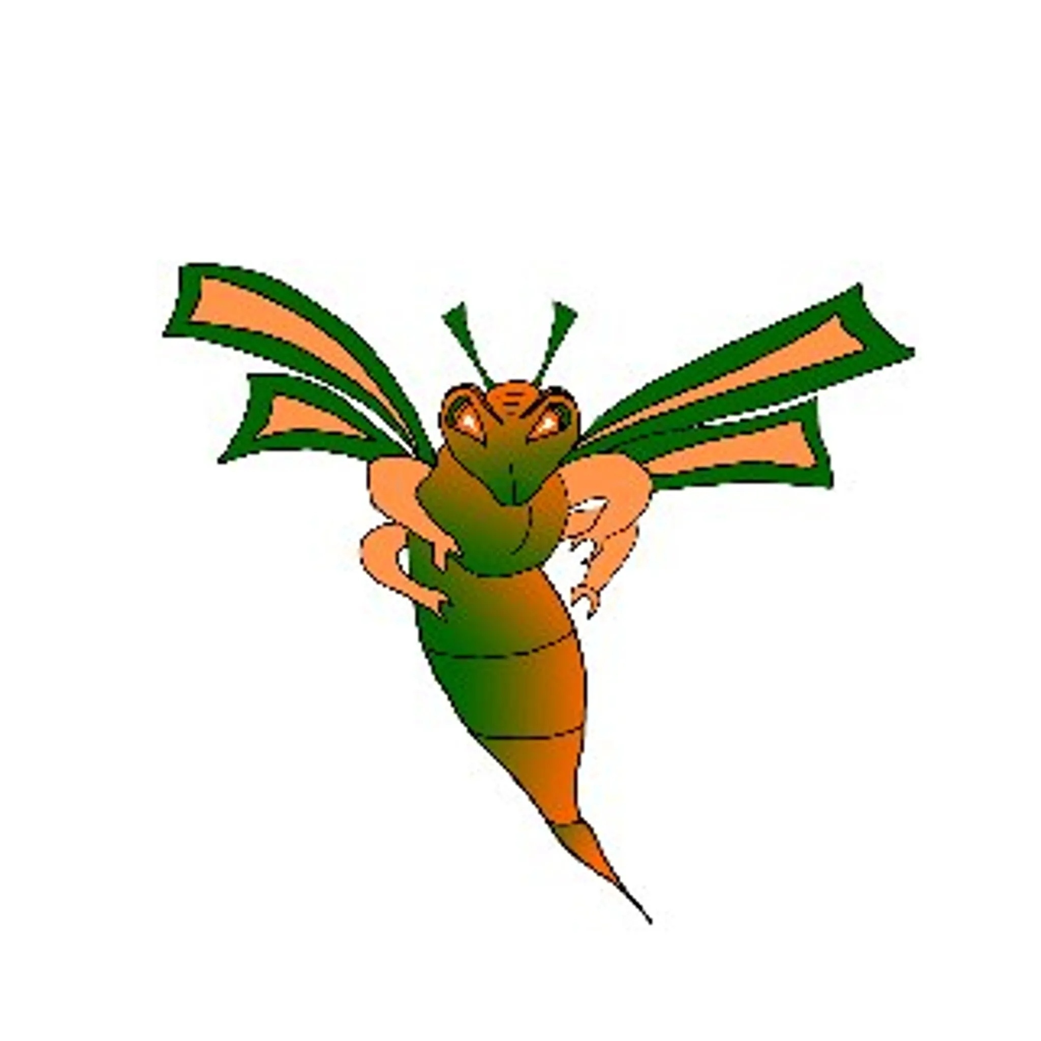 Hornsby Heights Netball Club