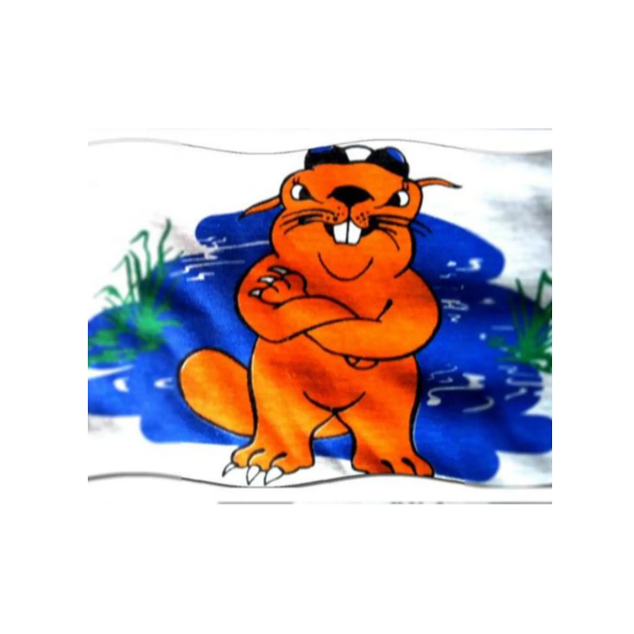 Ballarat Masters Swimming Club