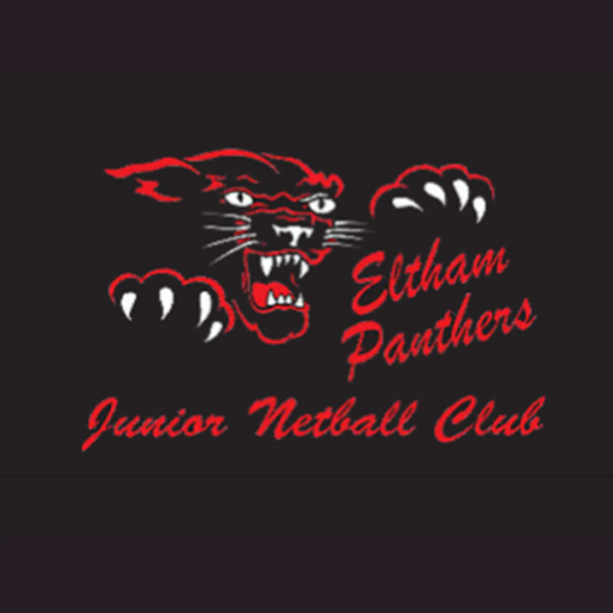 Panthers Junior Netball Club