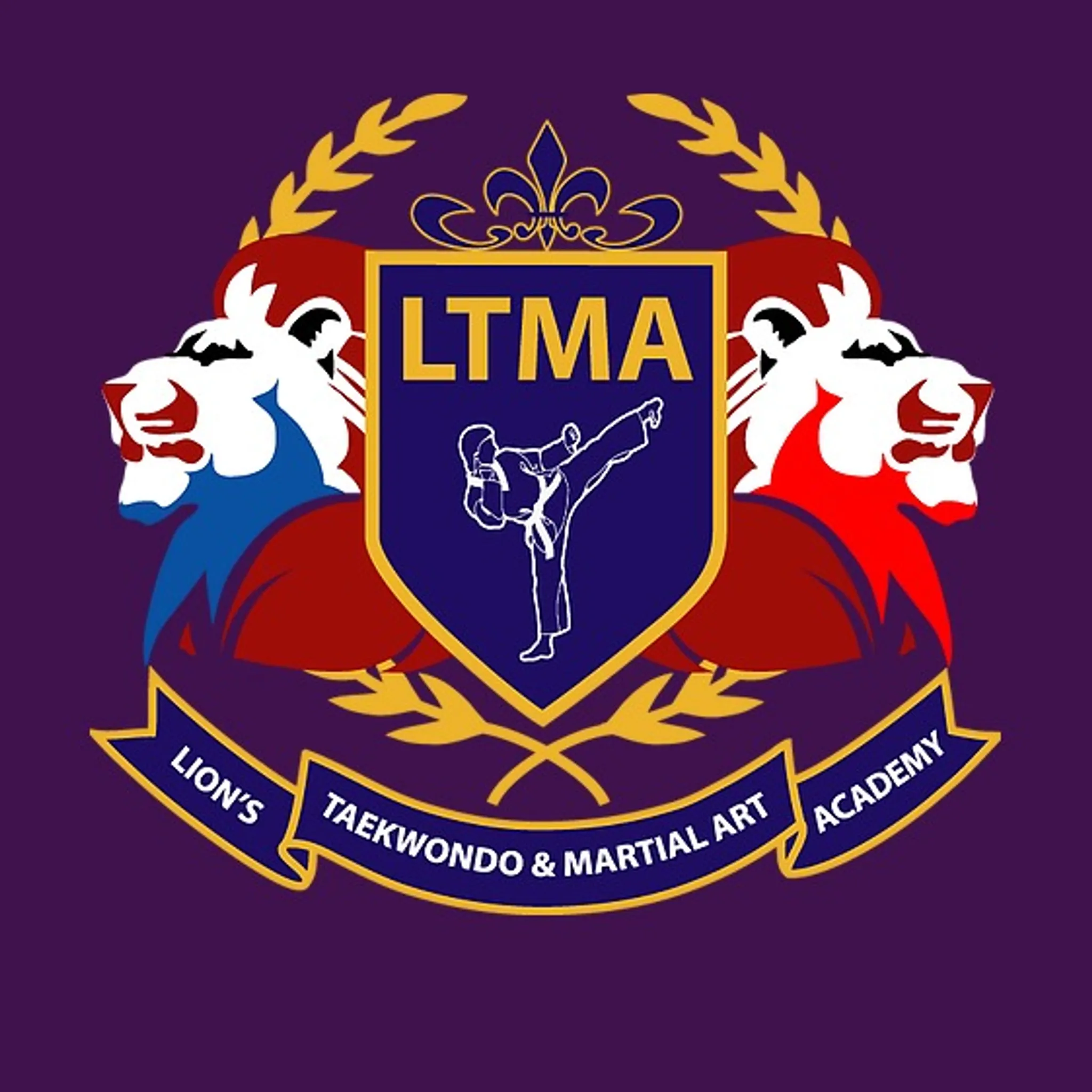 Lion's Taekwondo & Martial Art Academy