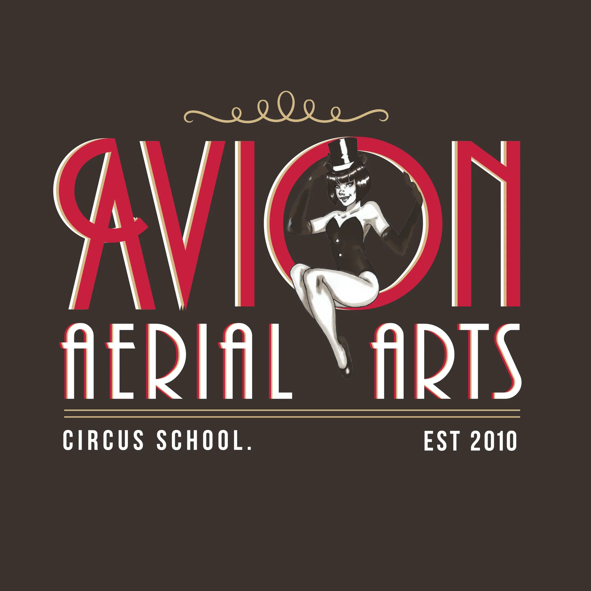 Avion Aerial Circus School