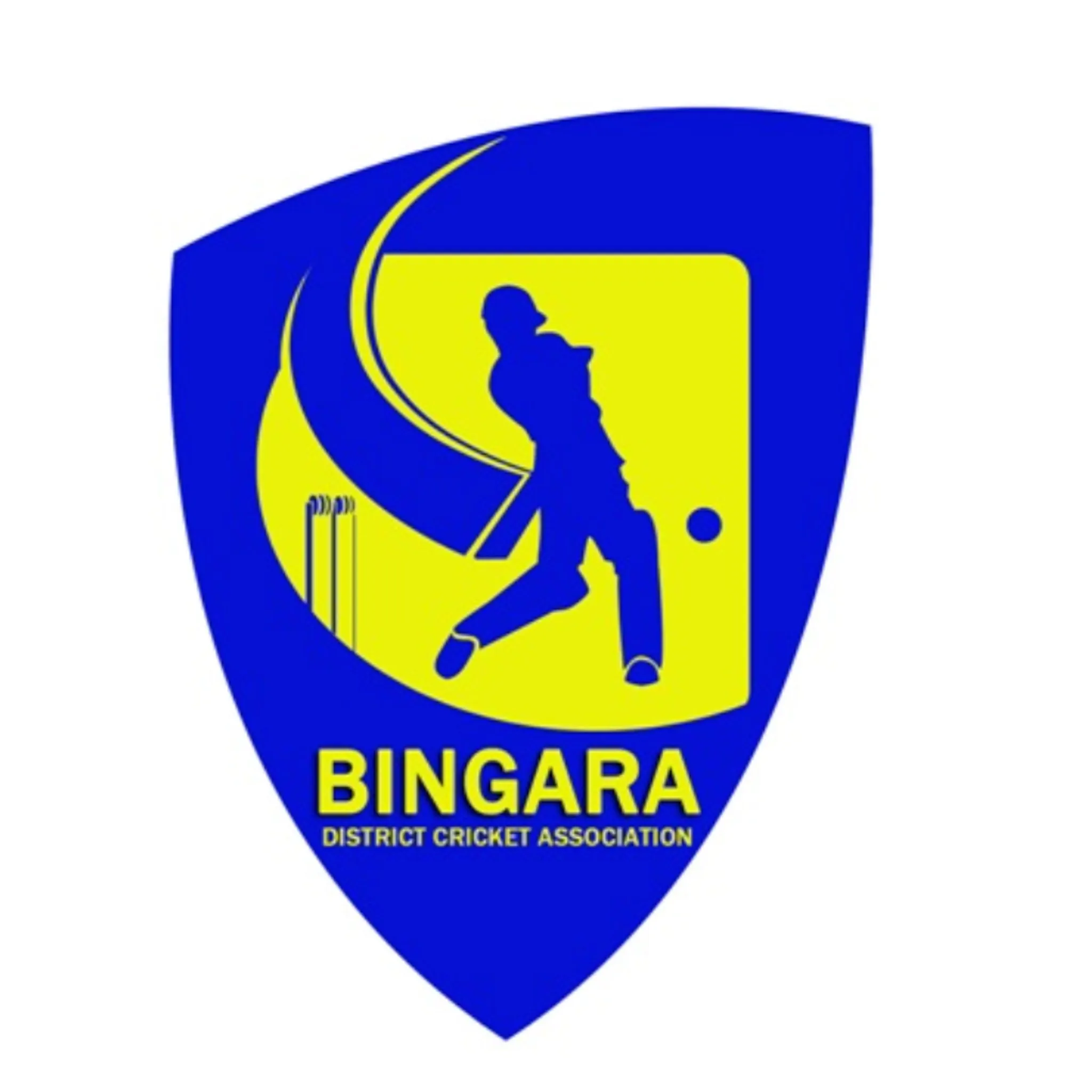 Bingara District Cricket Association