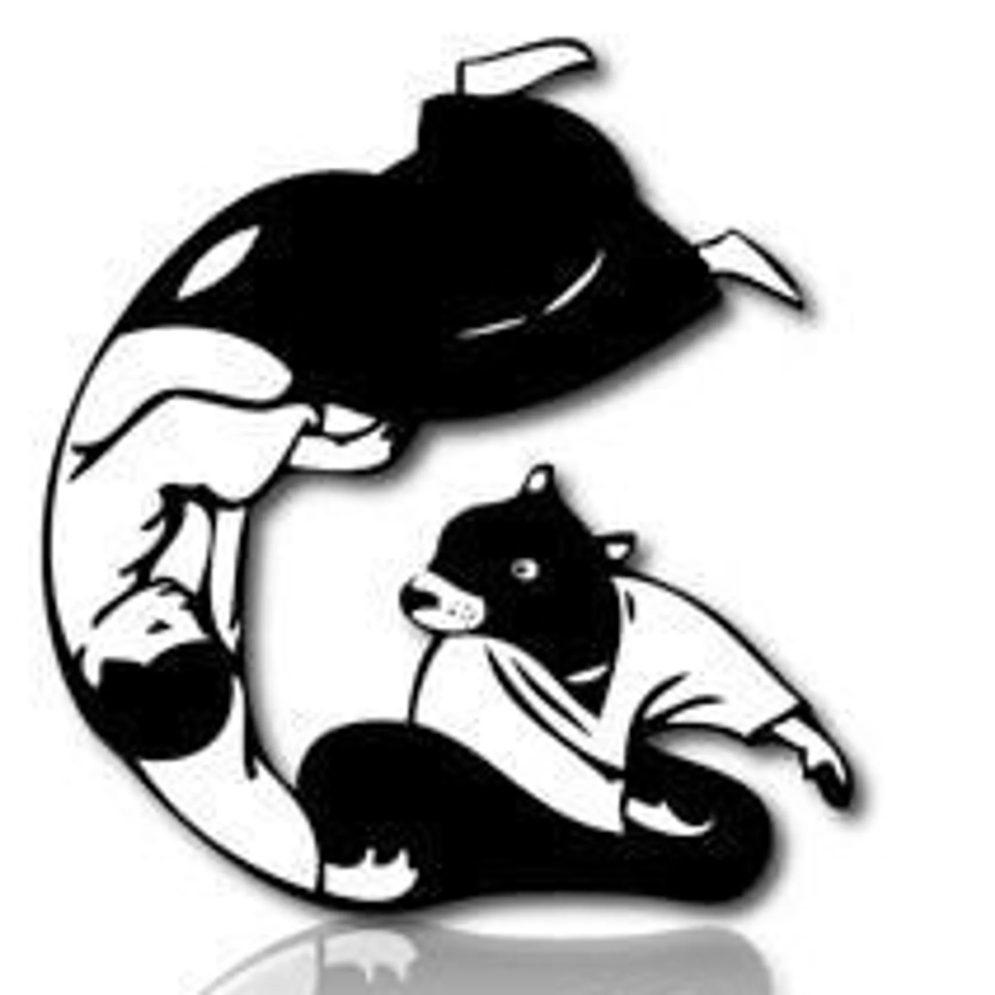 Devonport Aiki Kai Dojo