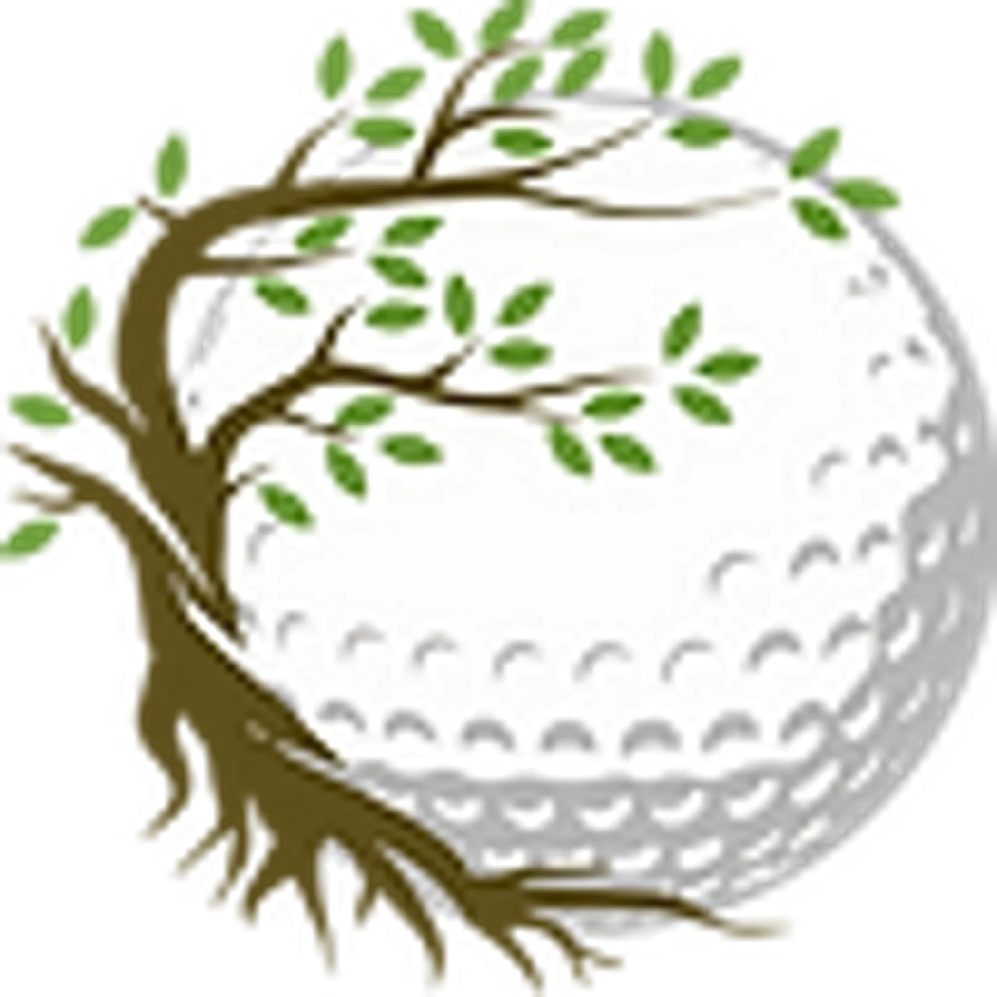 Oakhill 9 Hole Pitch And Putt