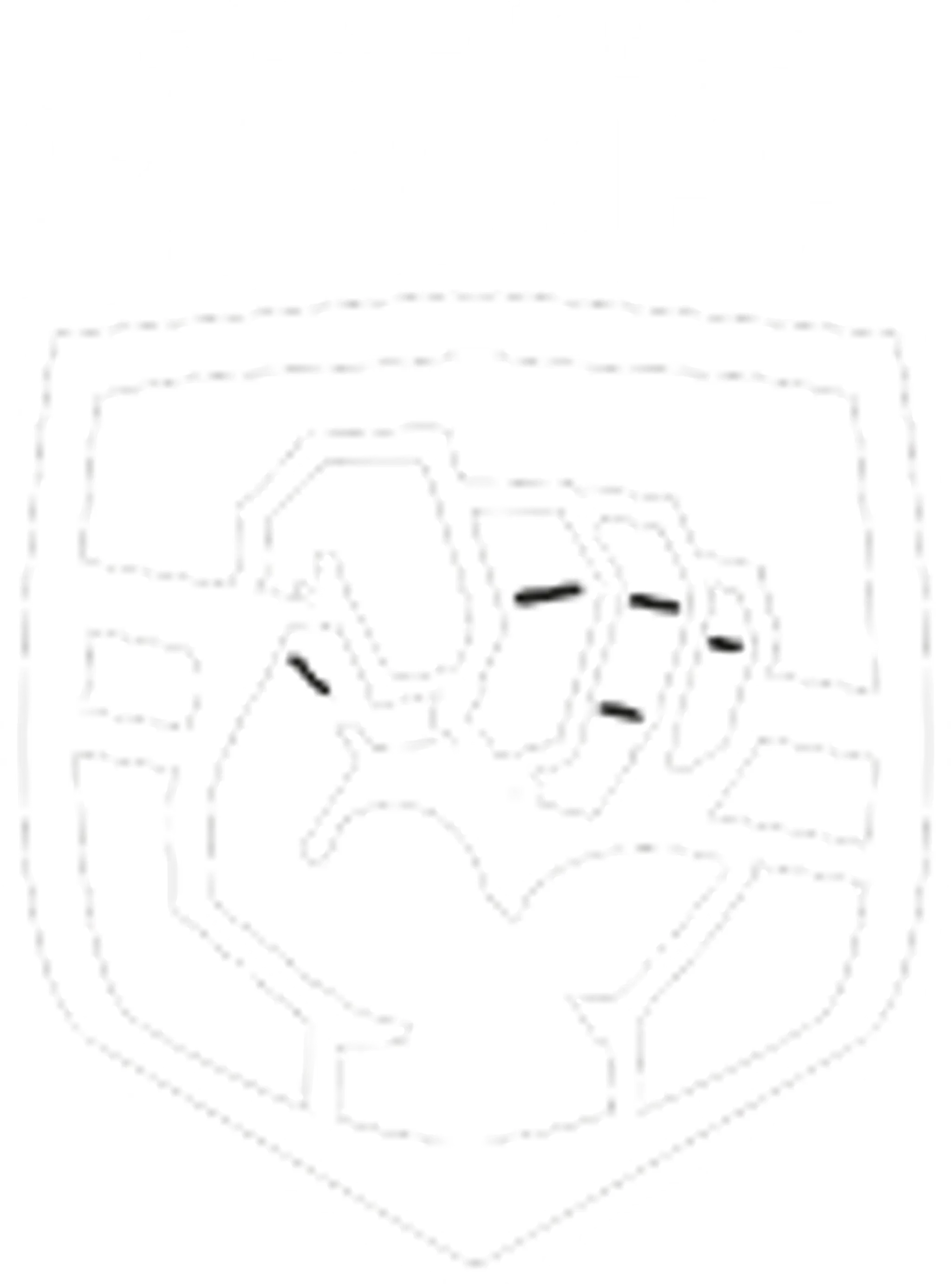 CrossFit Skirmish