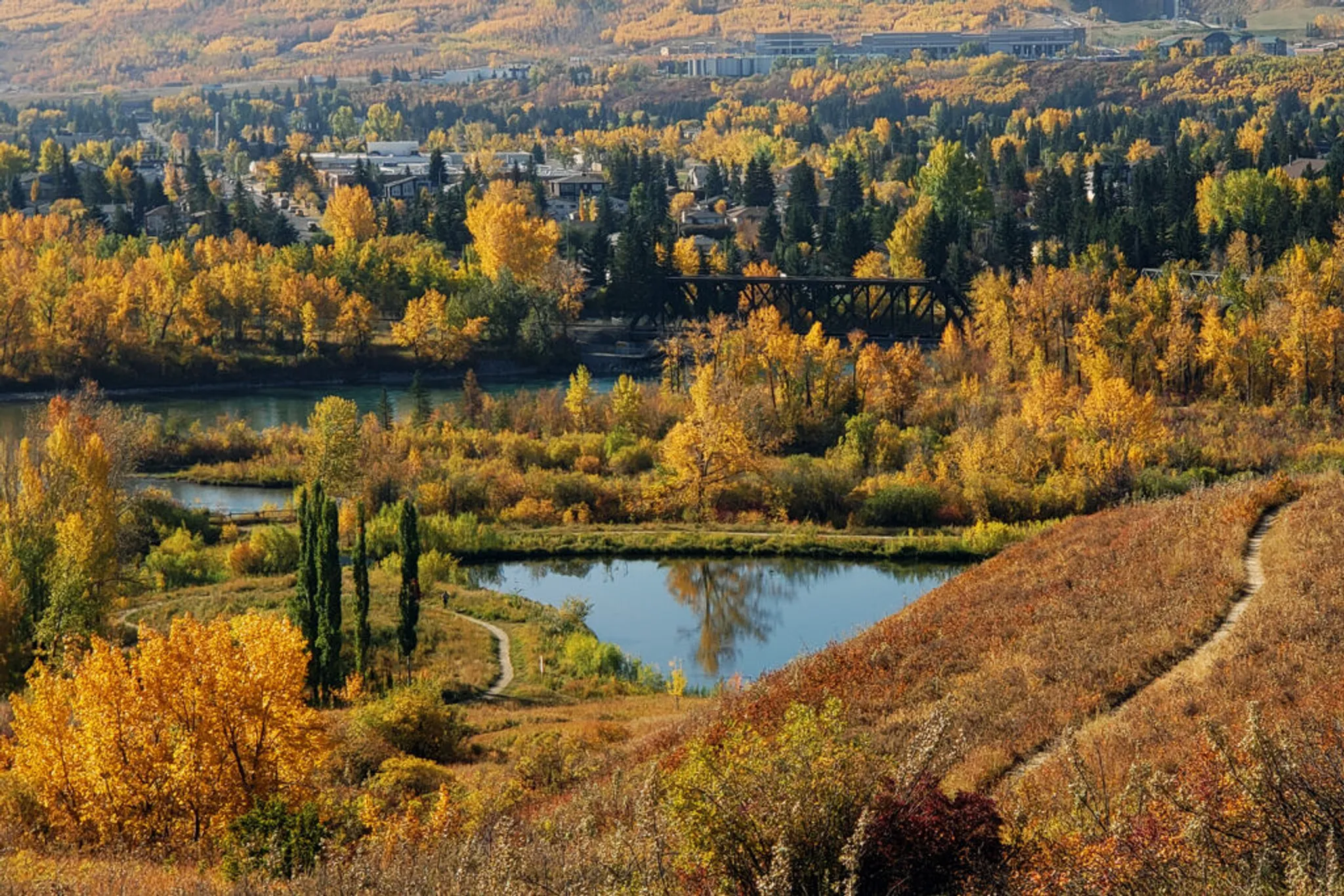 Youth and Adult Tennis Lessons