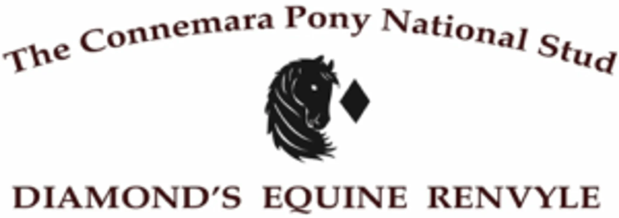 Diamonds Equine Renvyle - The Connemara Pony National Stud