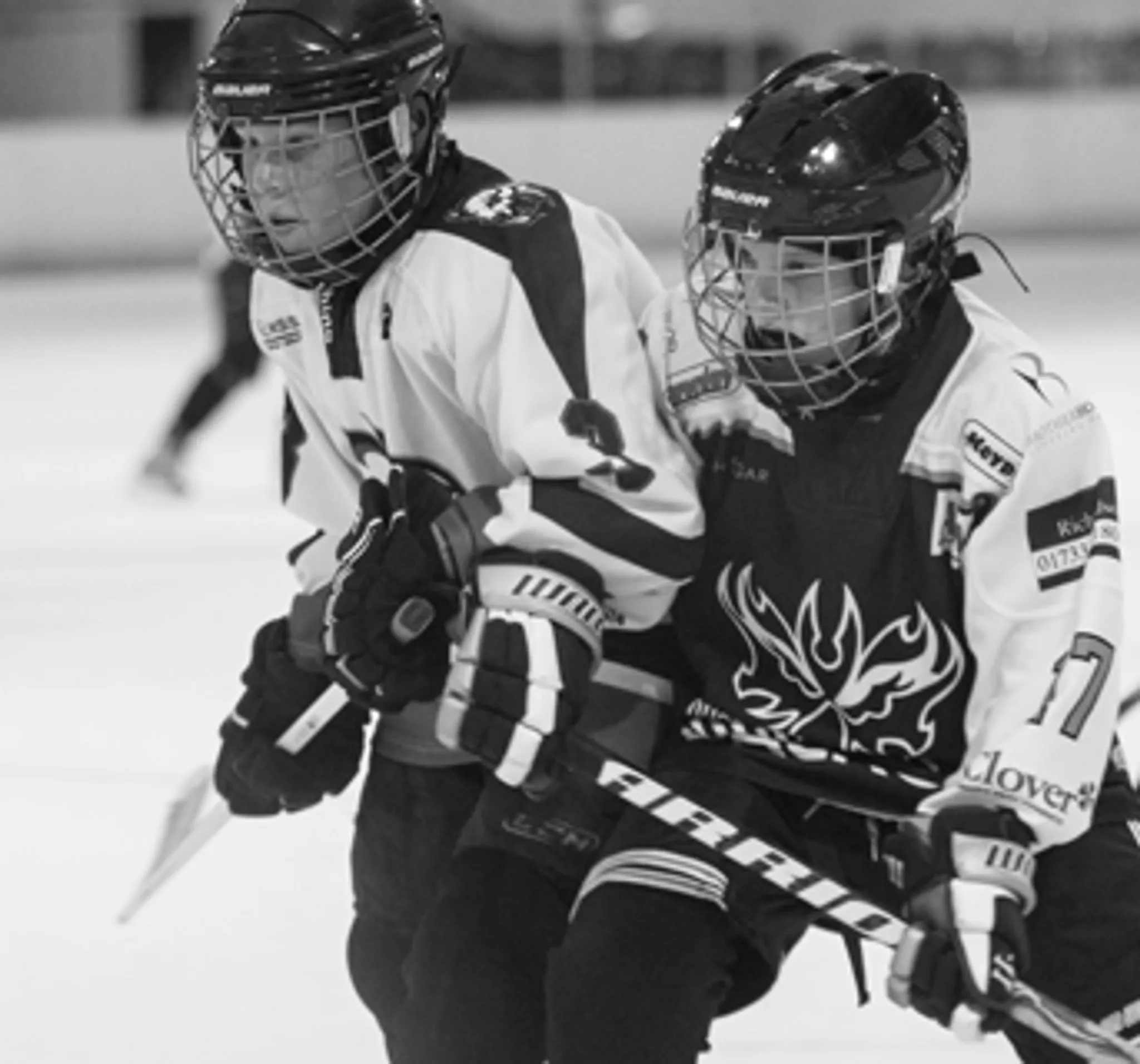 Summer Hockey Schools & Clinics