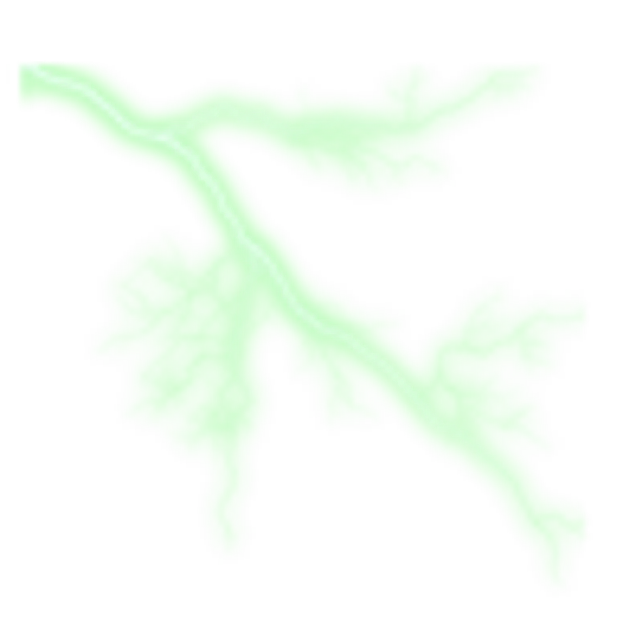 Global Fit Company - World Renowned Trainers