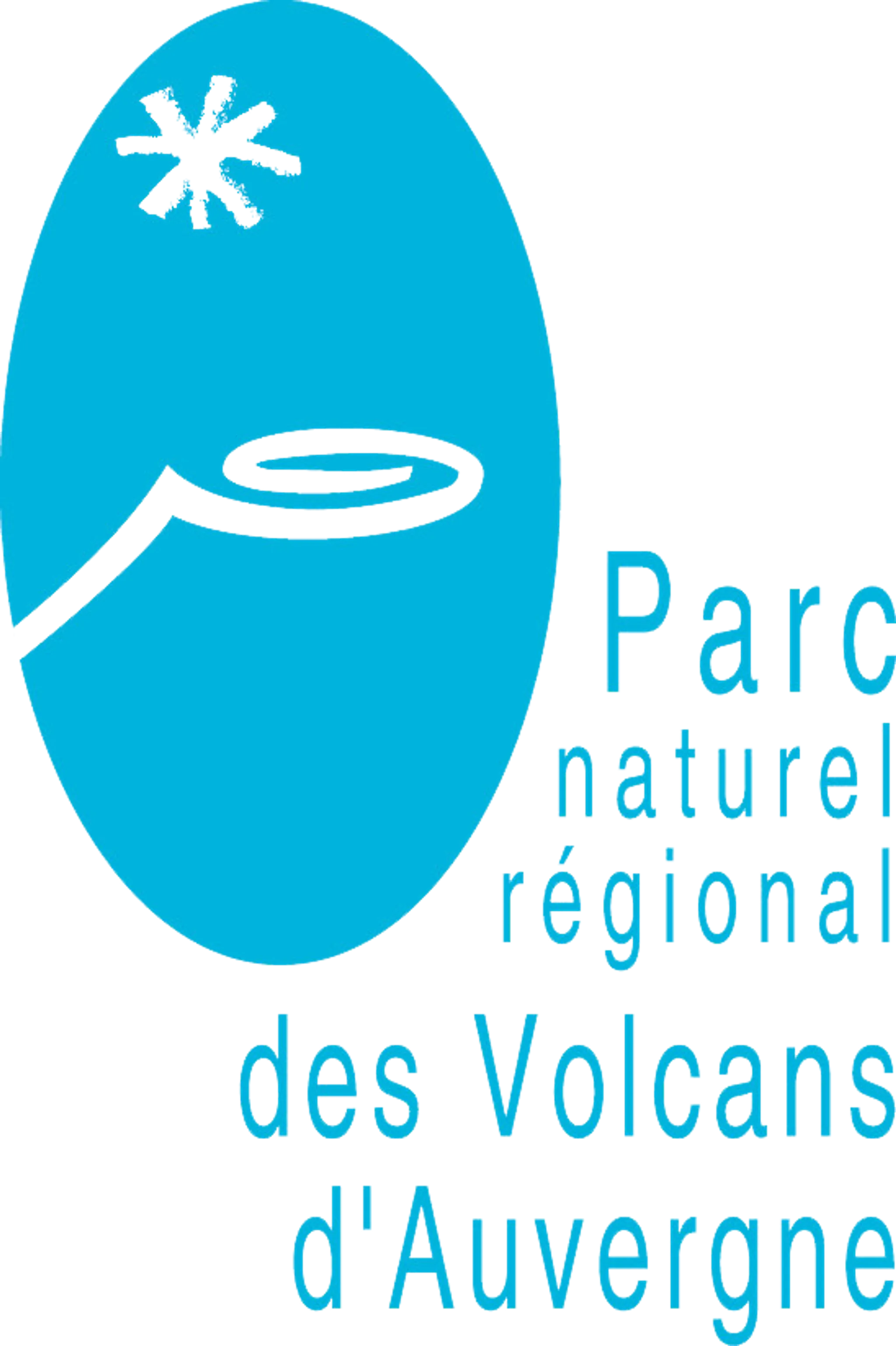 Mont Dore toboggan run