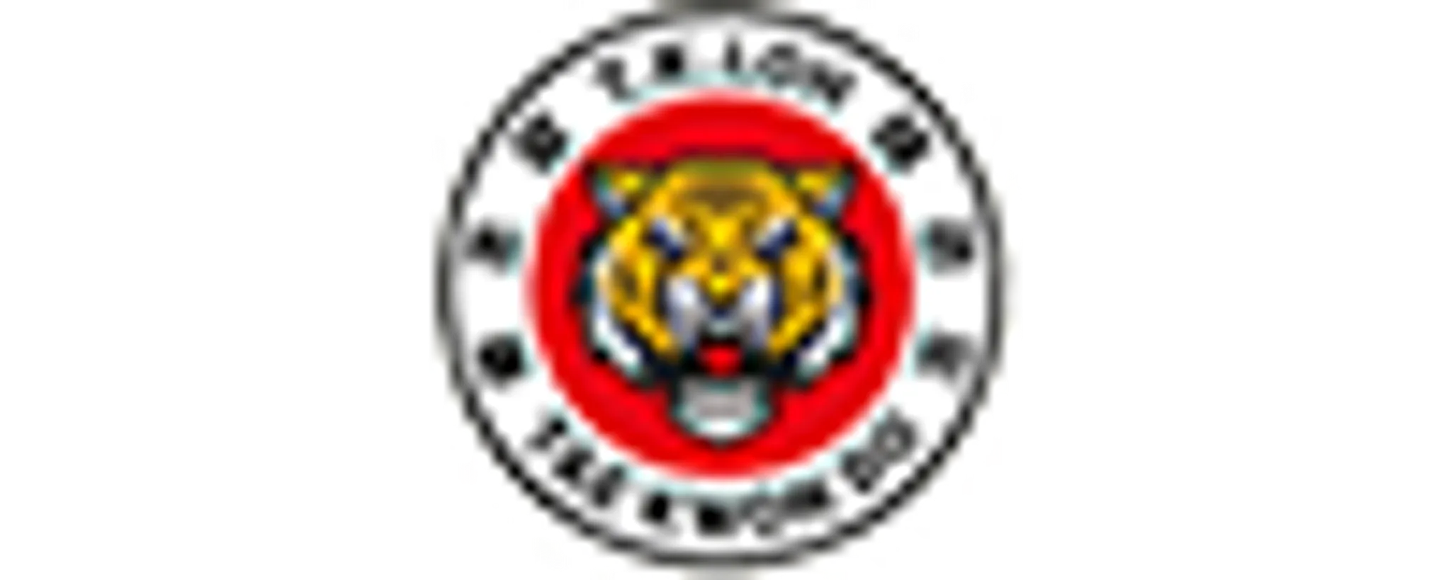 Paisley Traditional Taekwondo Association