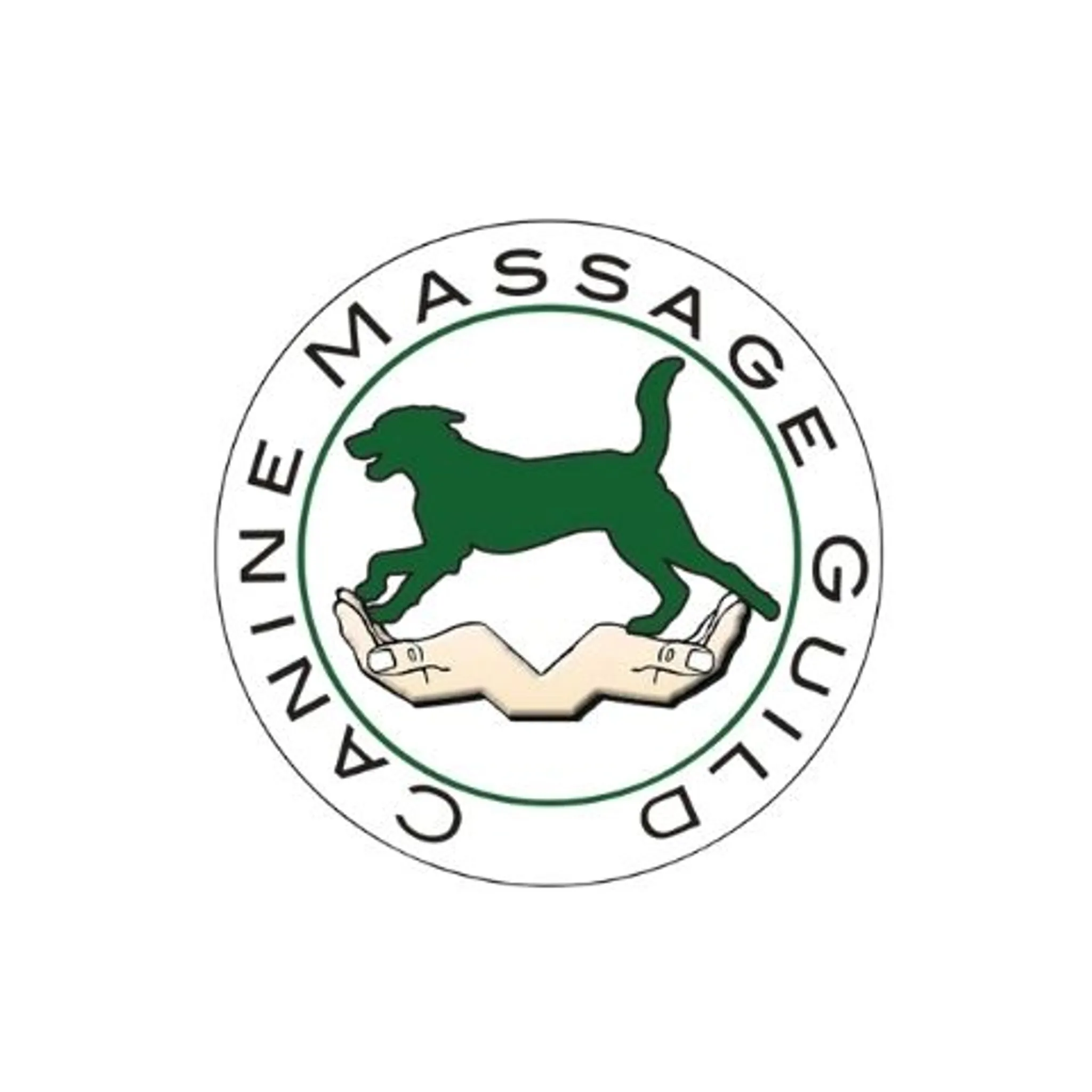 Born to Run Canine Massage, Fitness & Rehabilitation Suffolk
