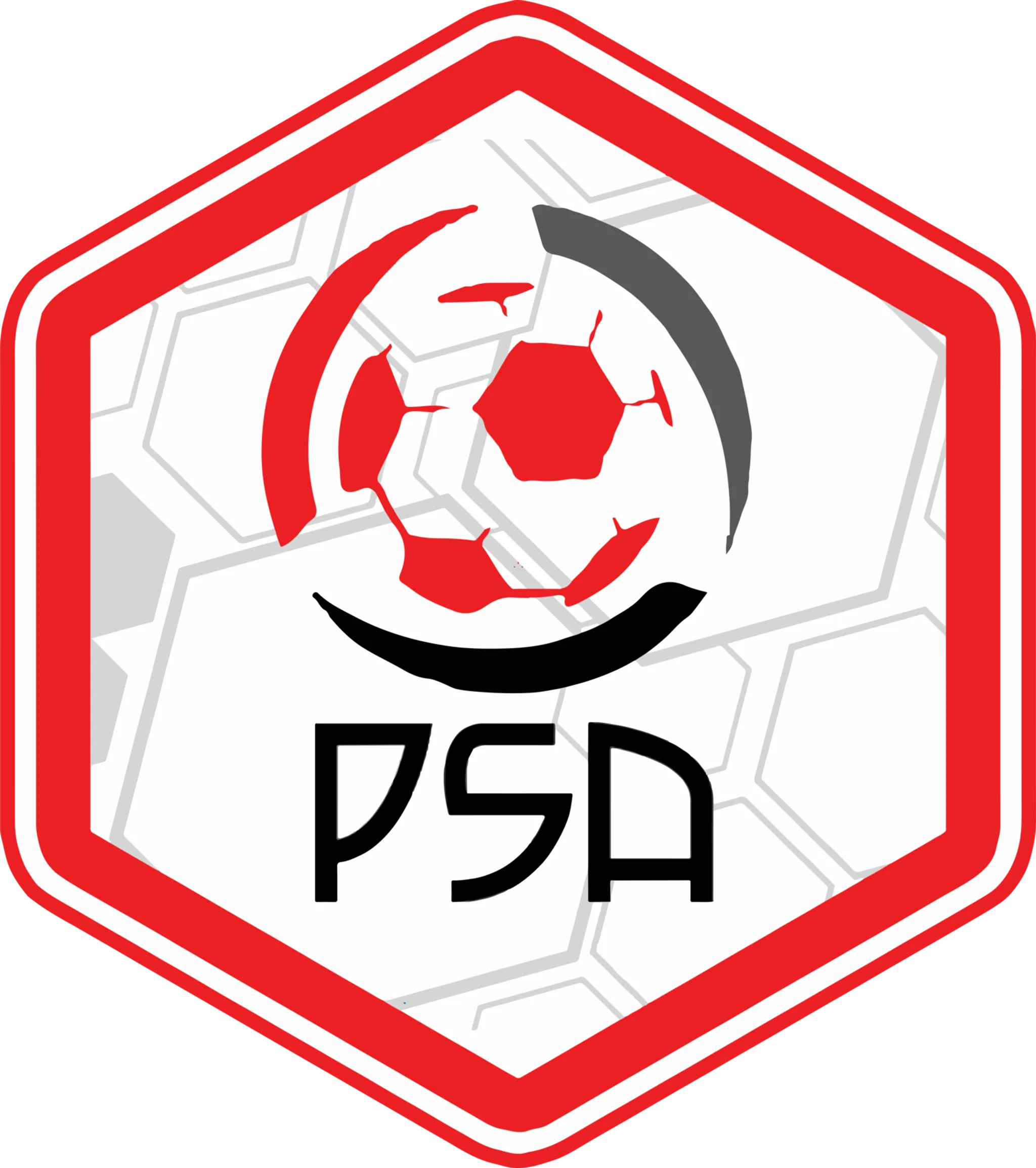 Pro Sports Academy