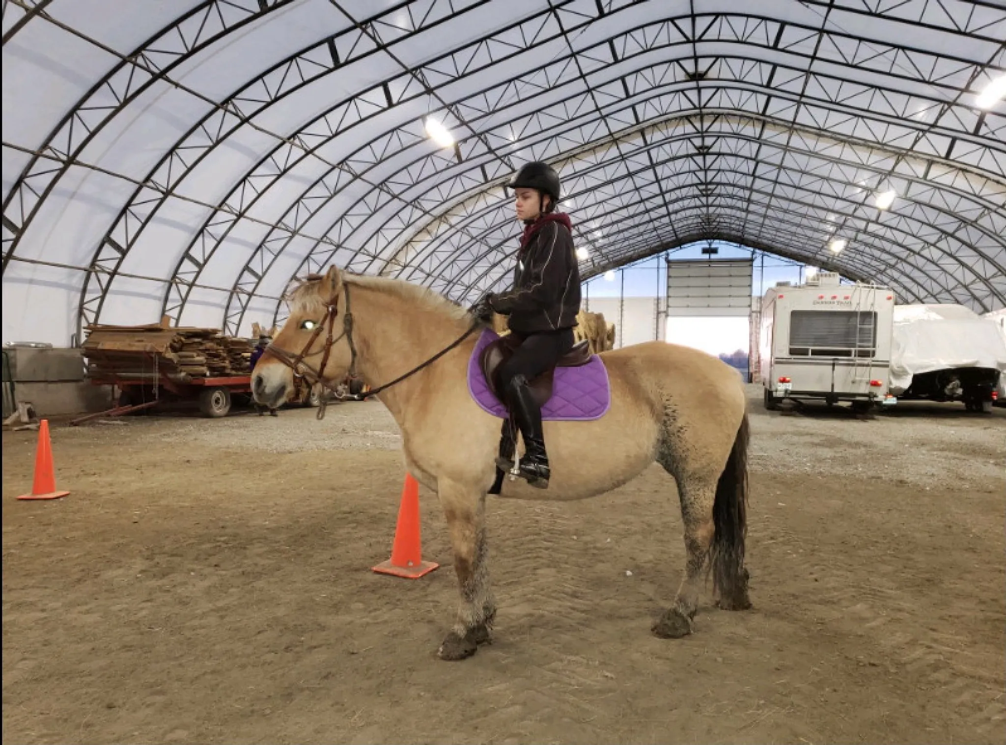 Camps de jours - Initiation à l'équitation