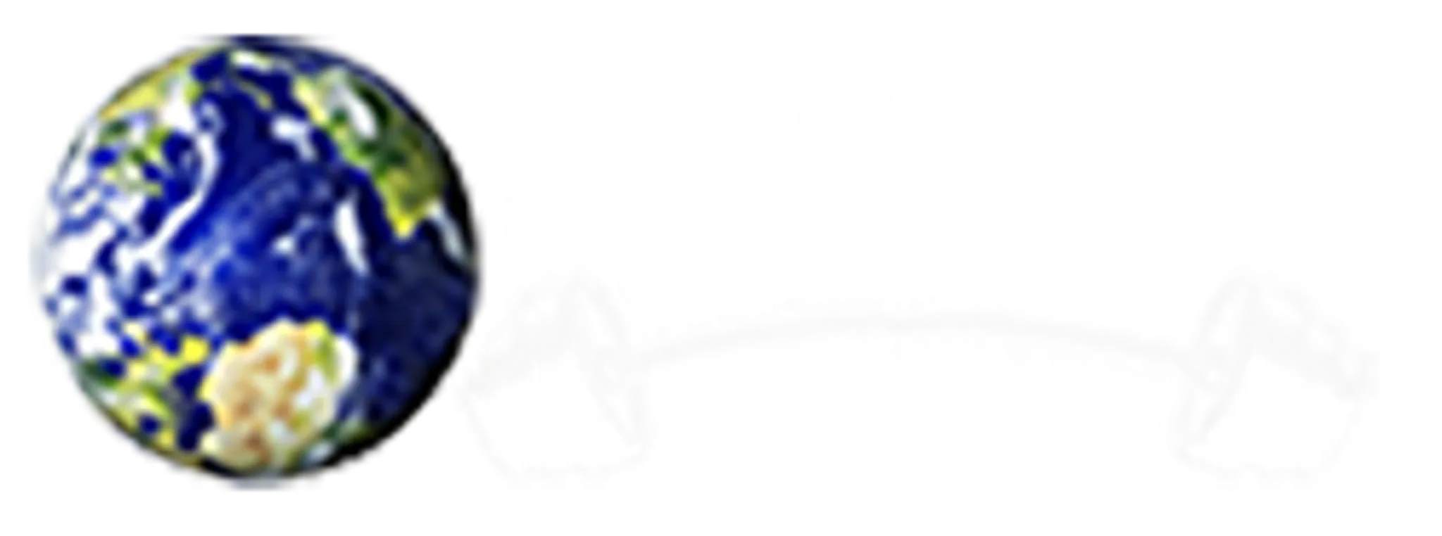 Magnum Fitness Studio