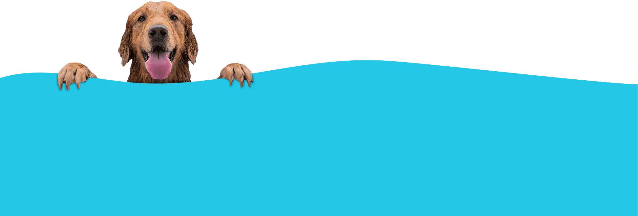 K9 SWiM Hydrotherapy Centre