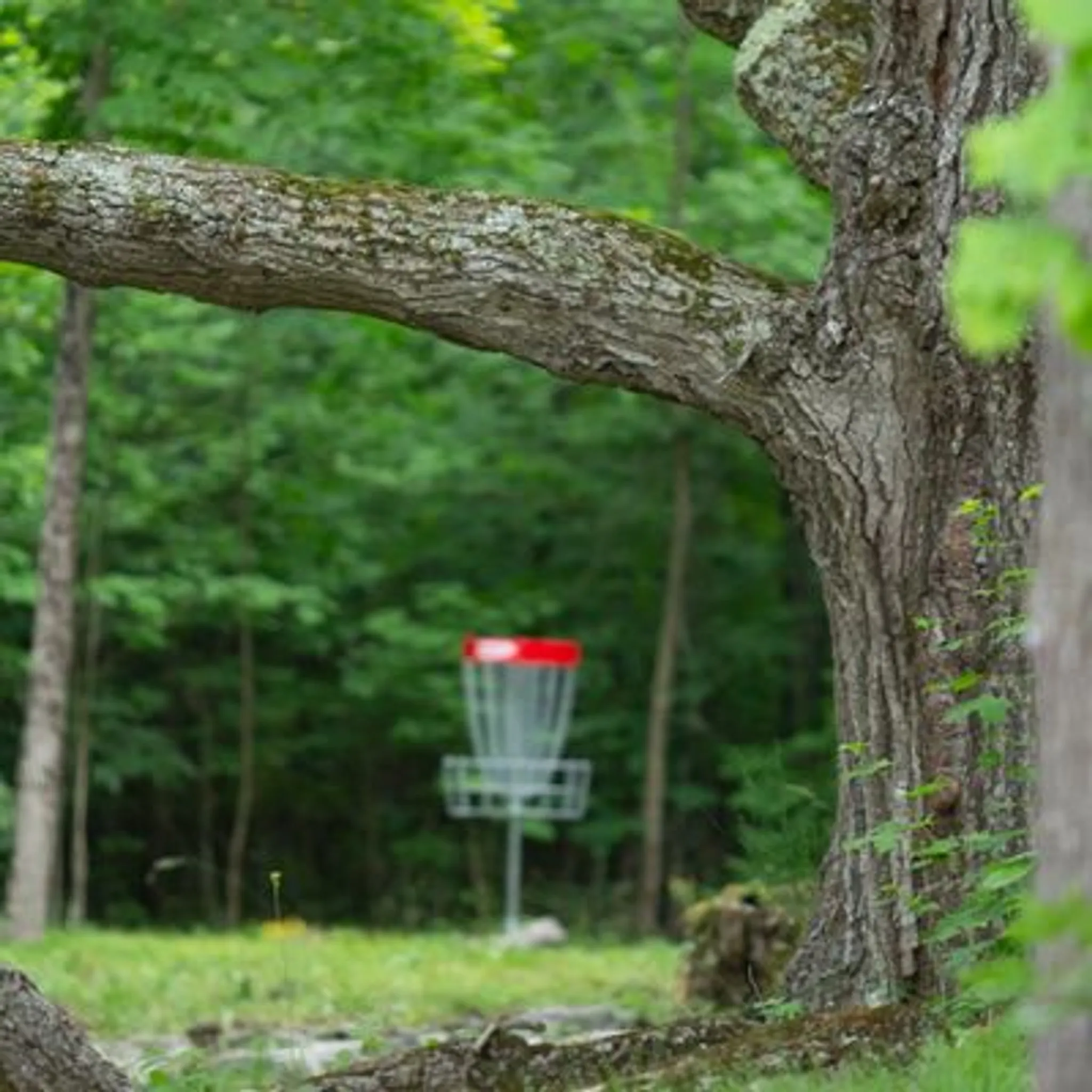 Project15, the Private Disc Golf Course