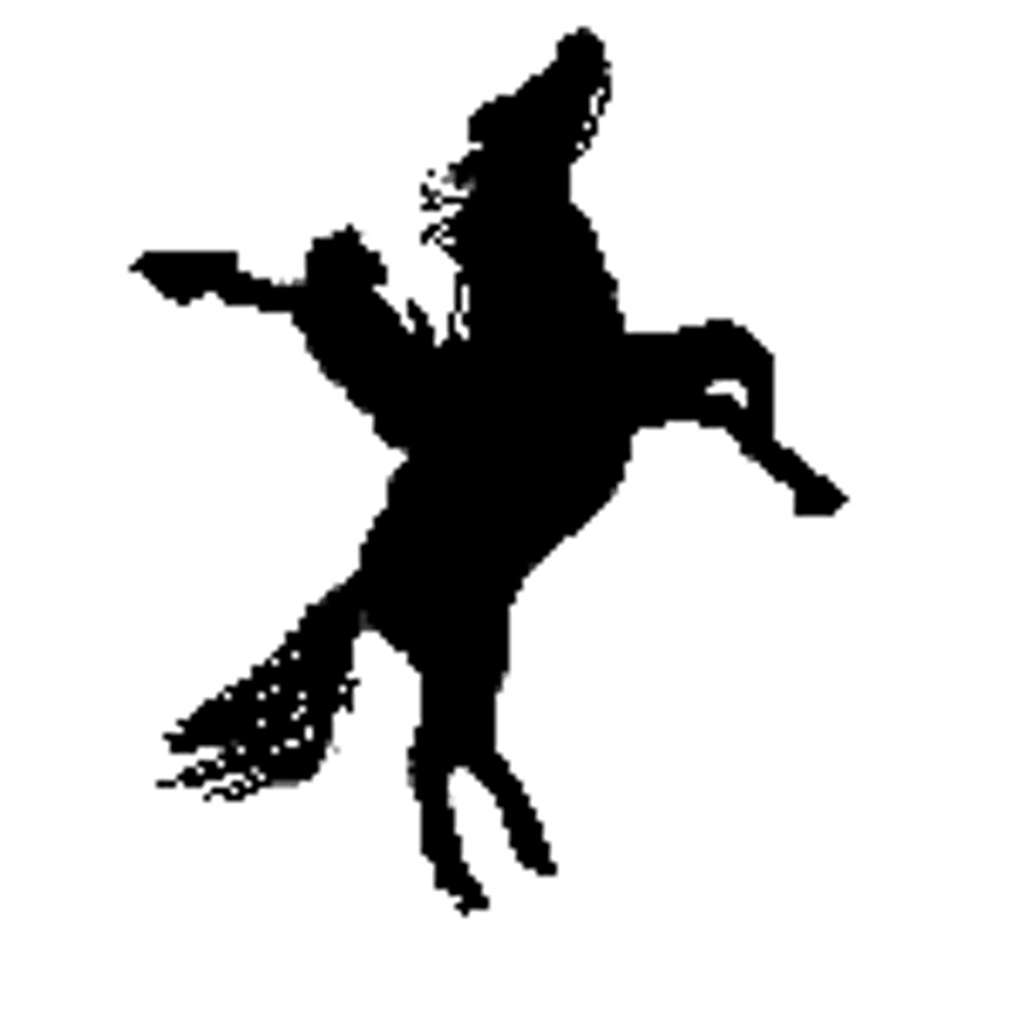 Amberainbow Pony Rides (pony parties in Adelaide SA)