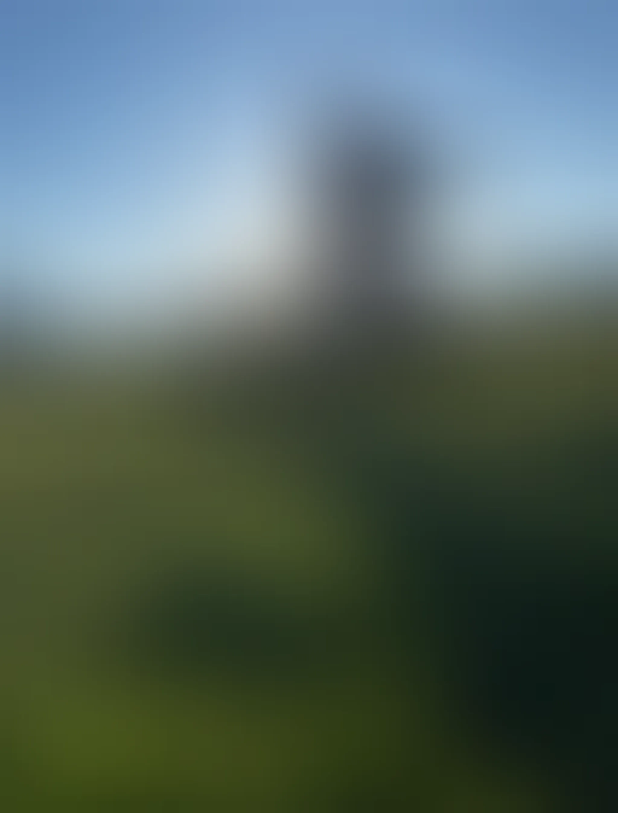 Auriga Football Club