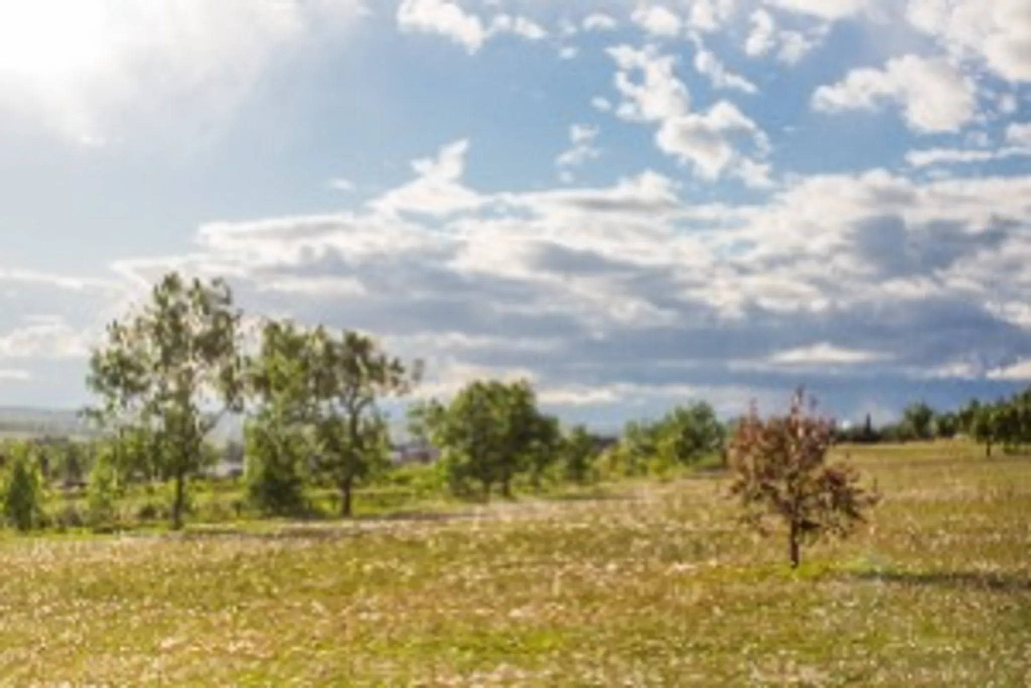 Dawson Creek Climbing Wall