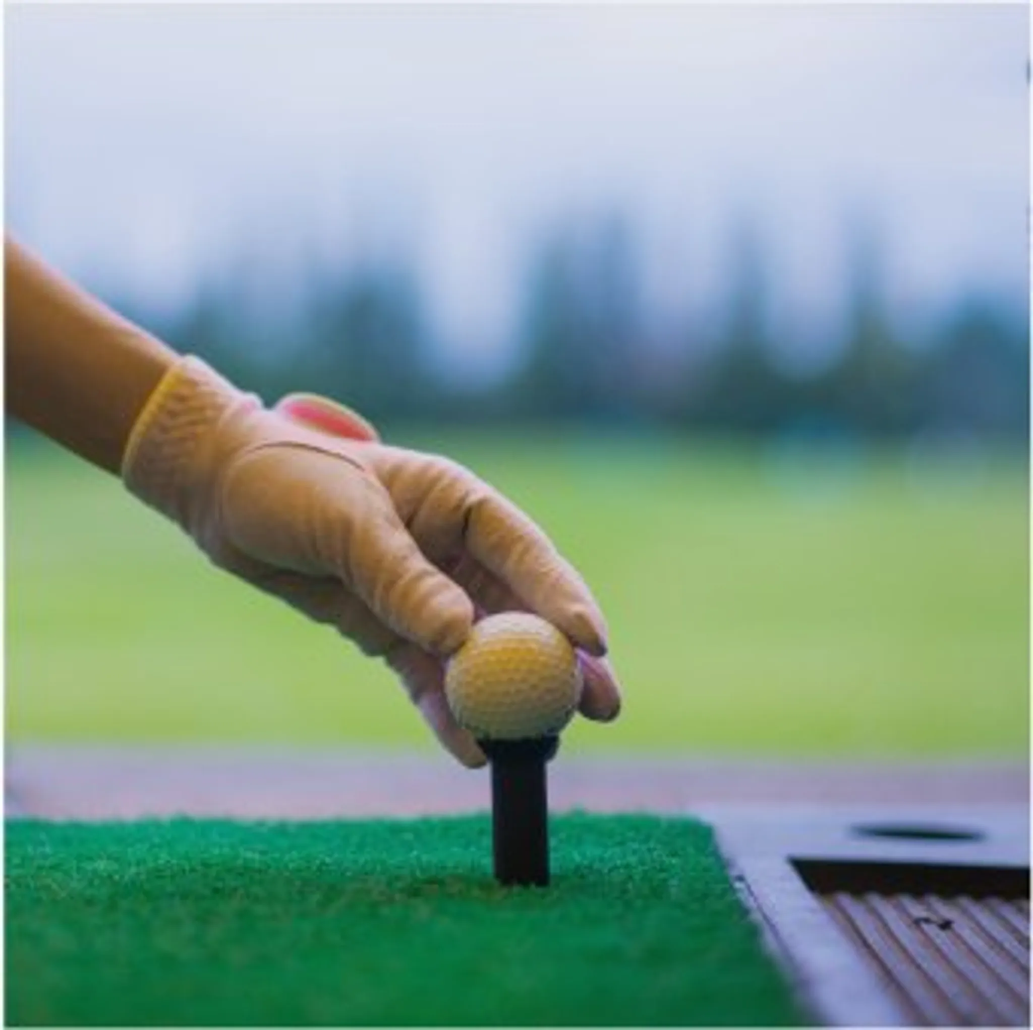 Jungle Safari Adventure Golf