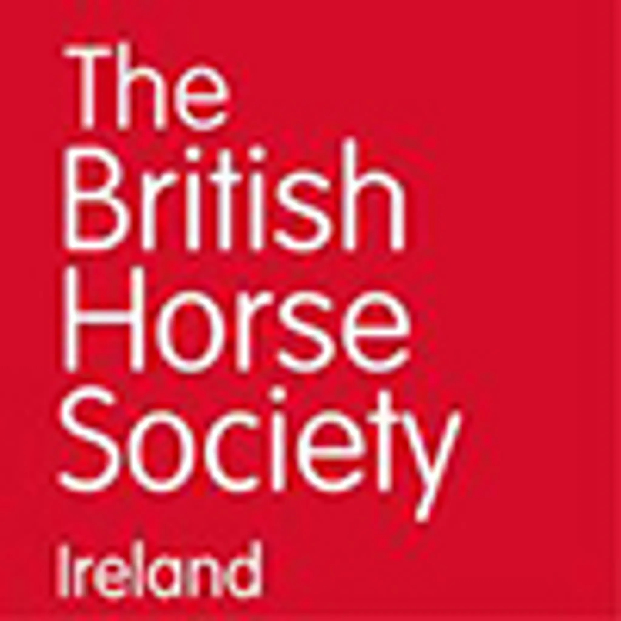 Brennanstown Riding School