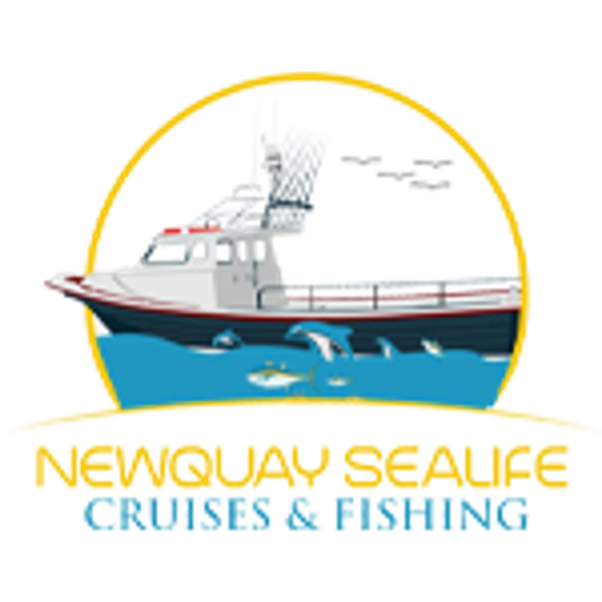 Newquay Sealife Boat & Fishing Trips