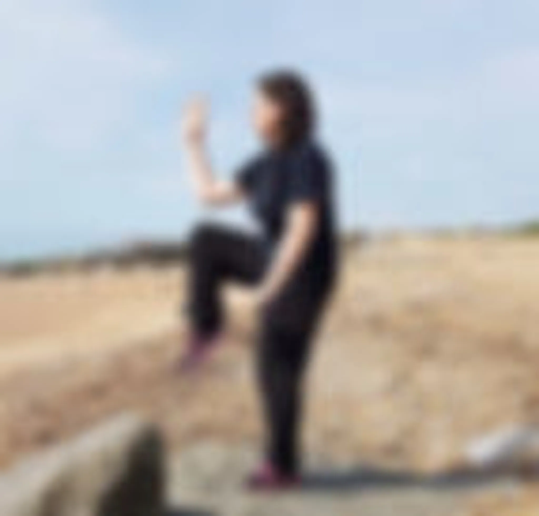 The School of Tai Chi Chuan and Internal Arts