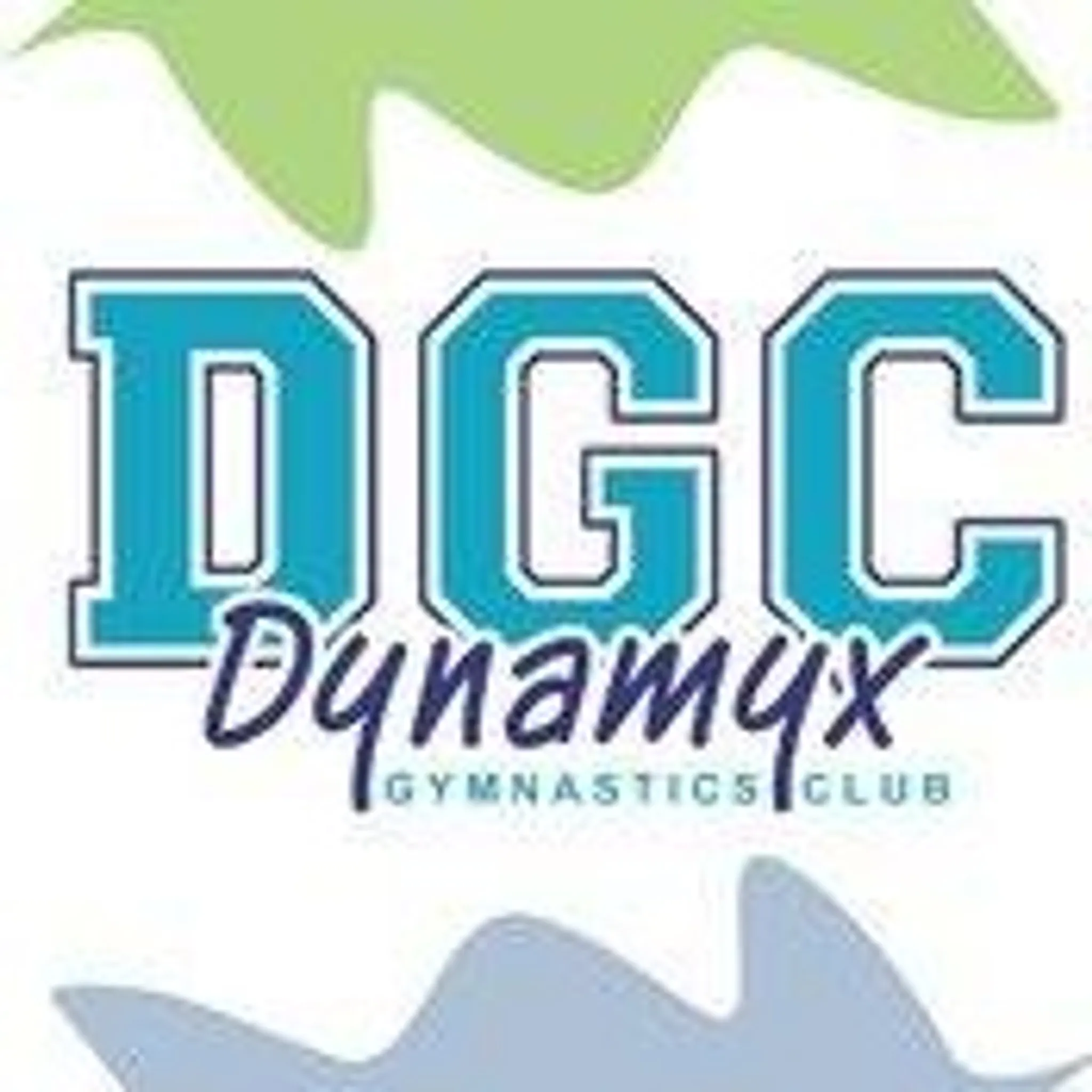 Dynamyx Gymnastics Club