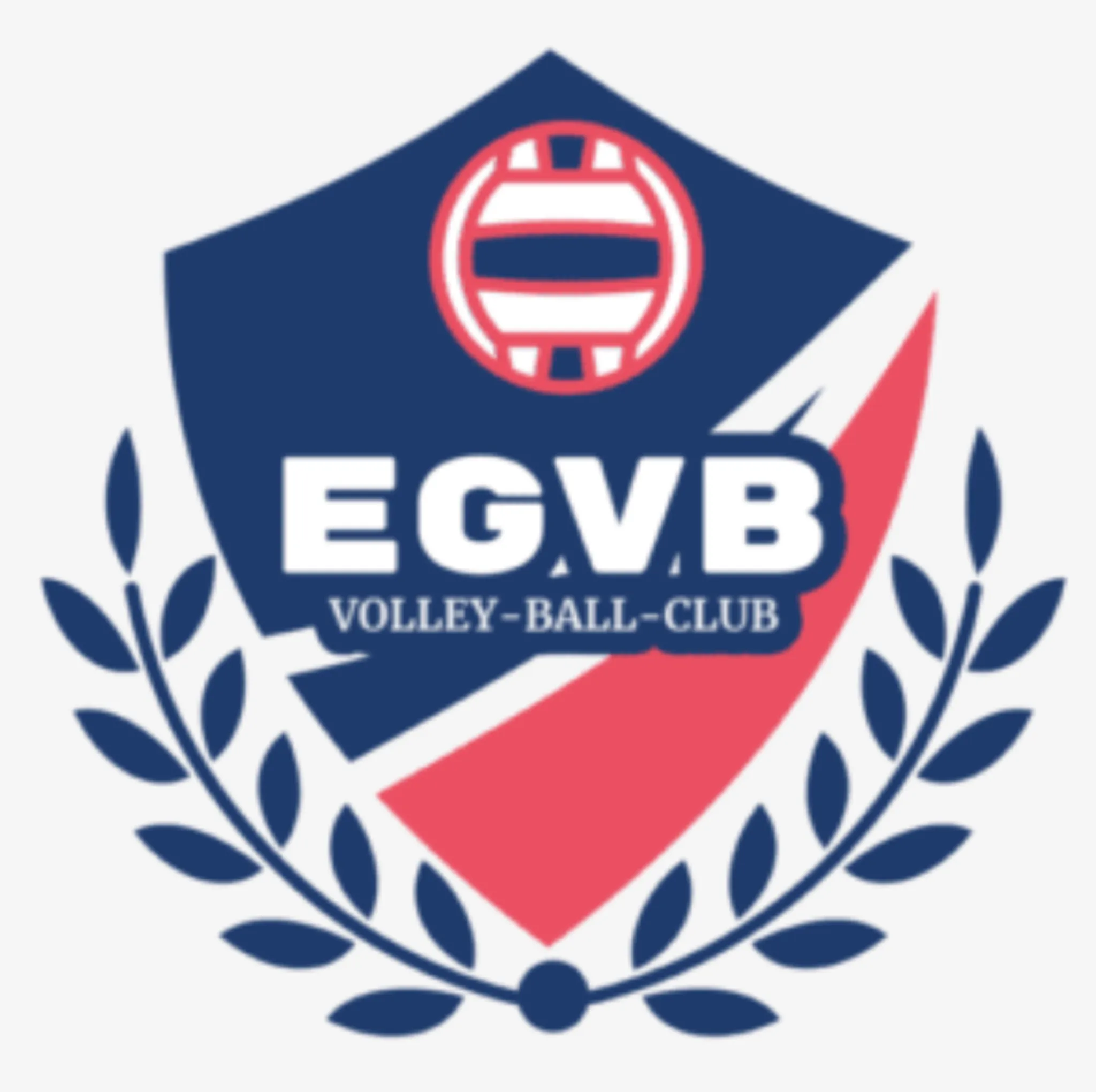 Entente Gisorsienne Volley-Ball