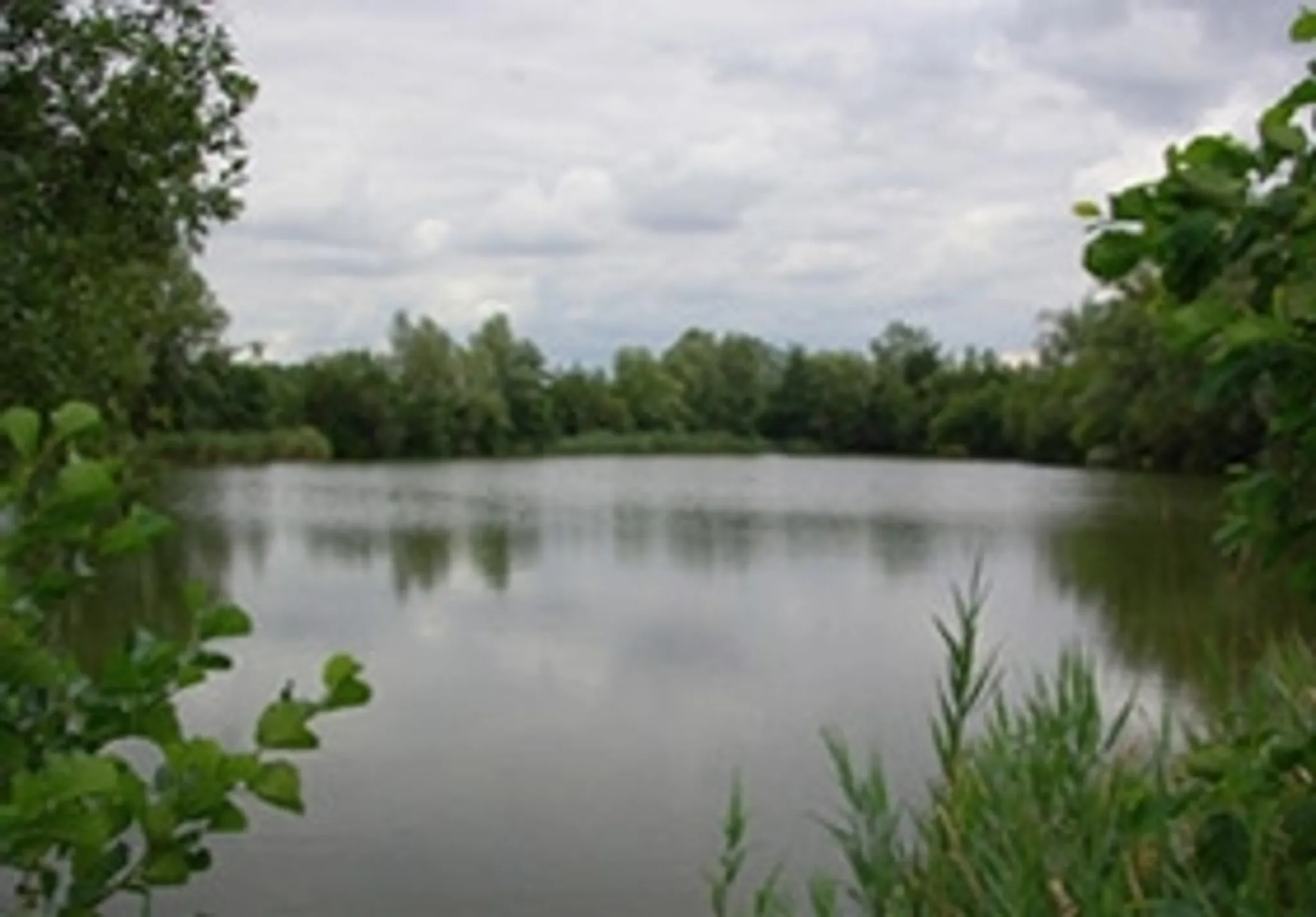Brookhall Lake Fishing Event