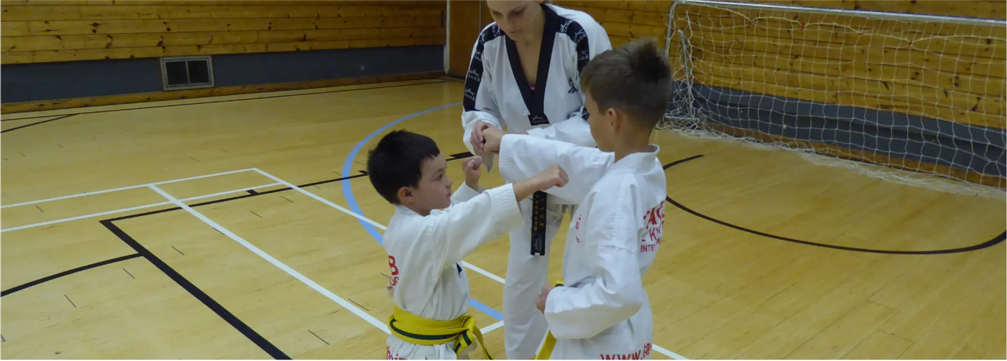 The Mark Farnham Schools of Tae Kwon Do