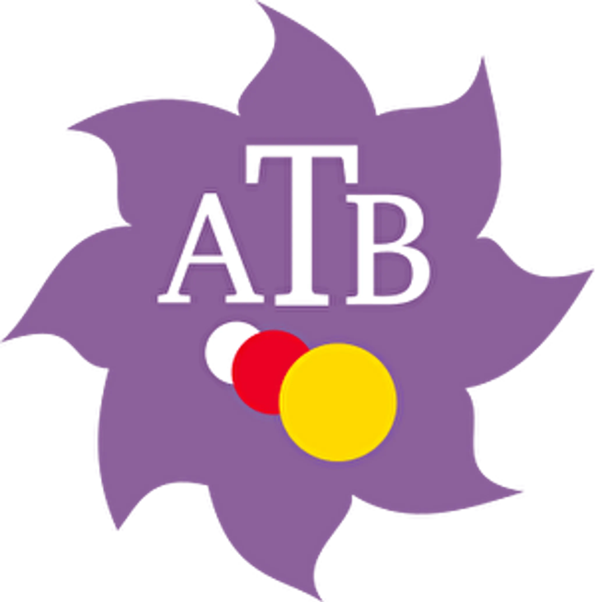 academie toulousaine de billard