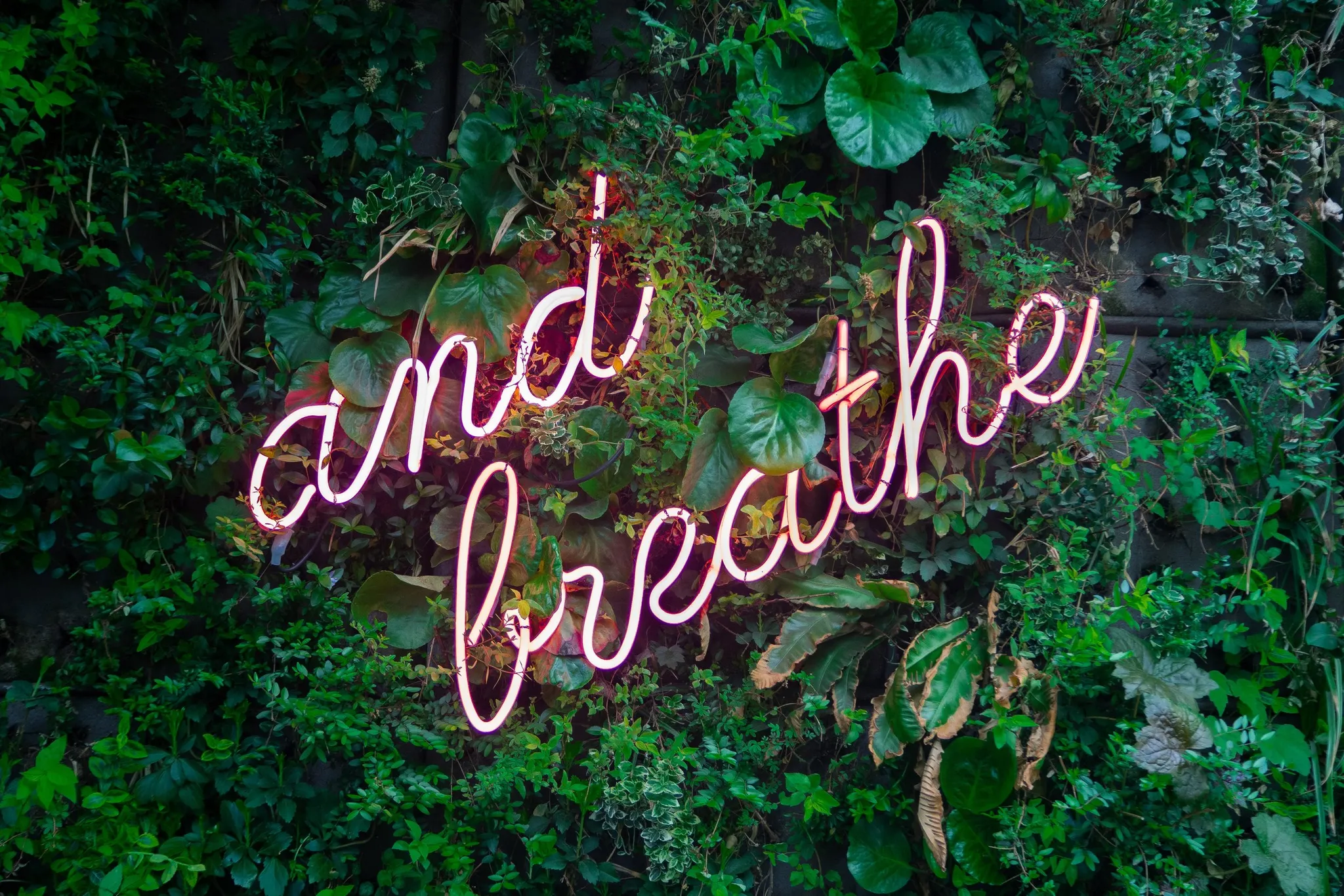 Auckland Breathwork Free Breathwork sessions
