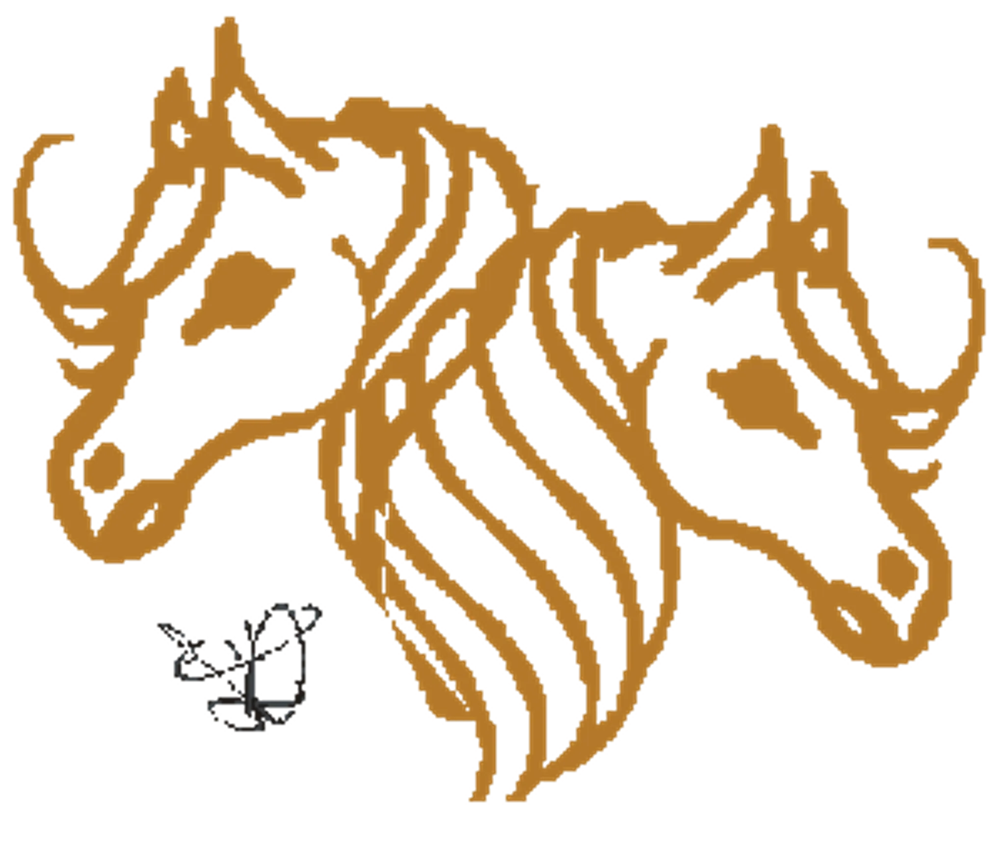 ECOLE D EQUITATION DU LUC