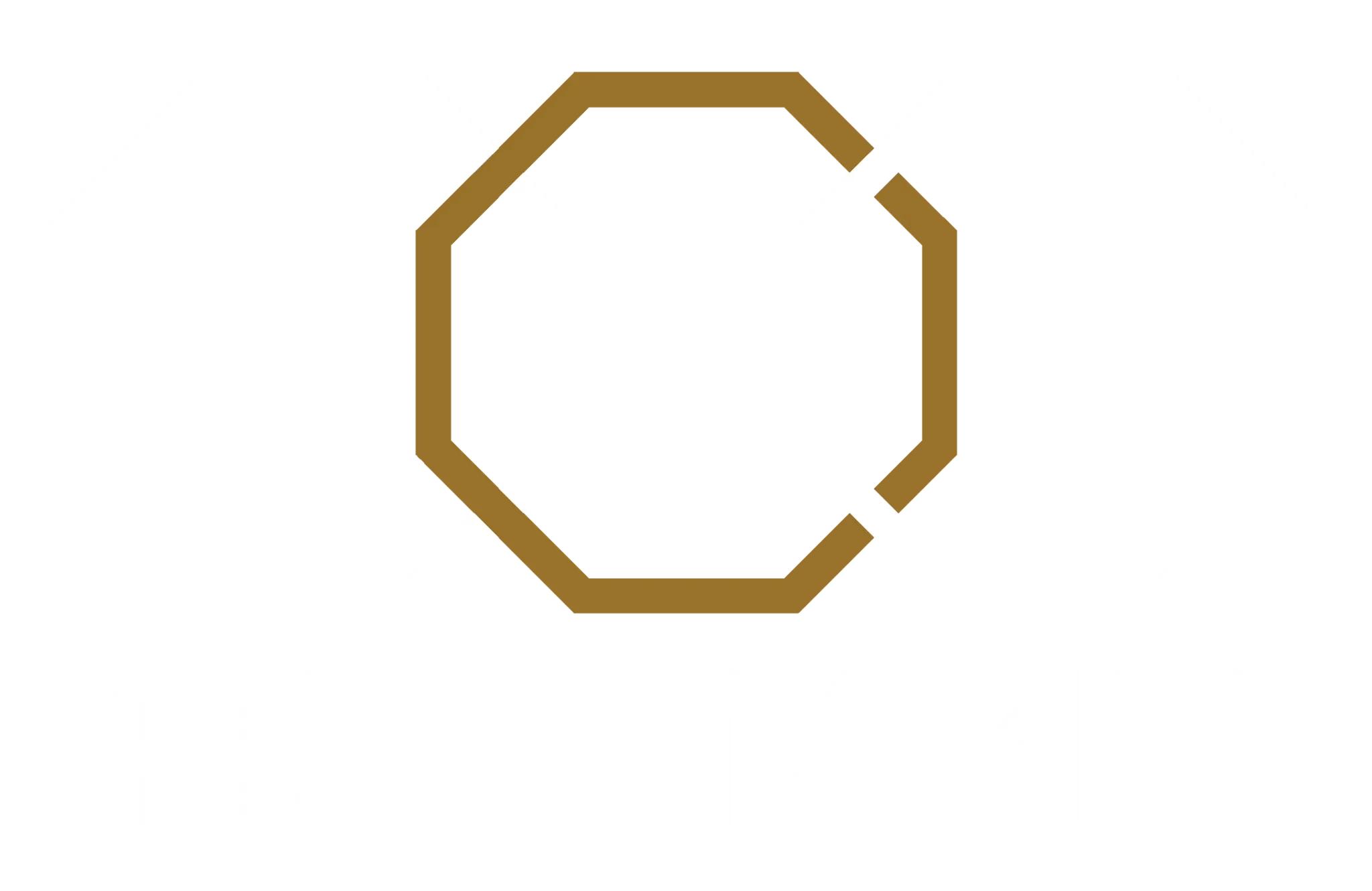 ACE MMA Martial Arts Centre