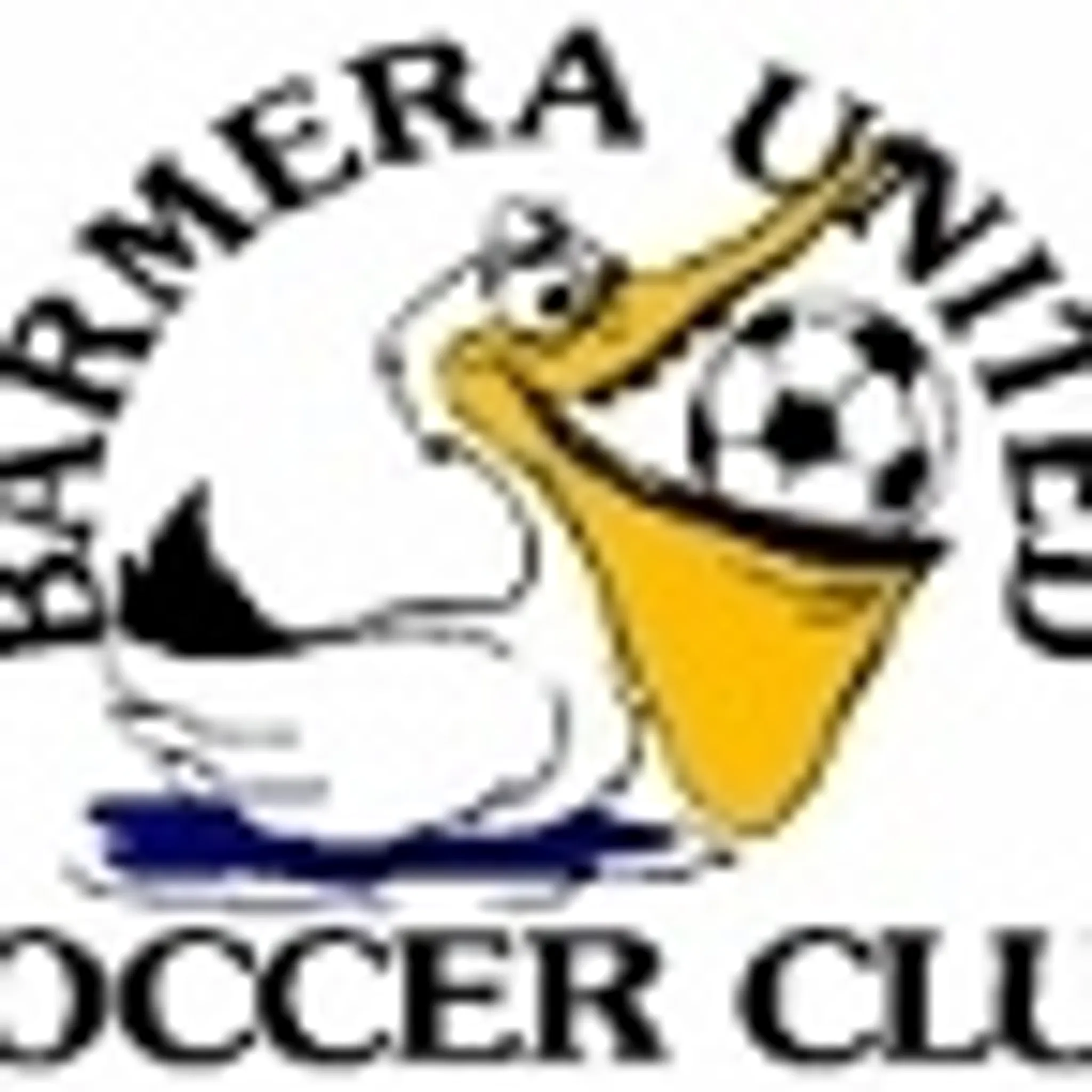 Berri River Rangers Soccer Club